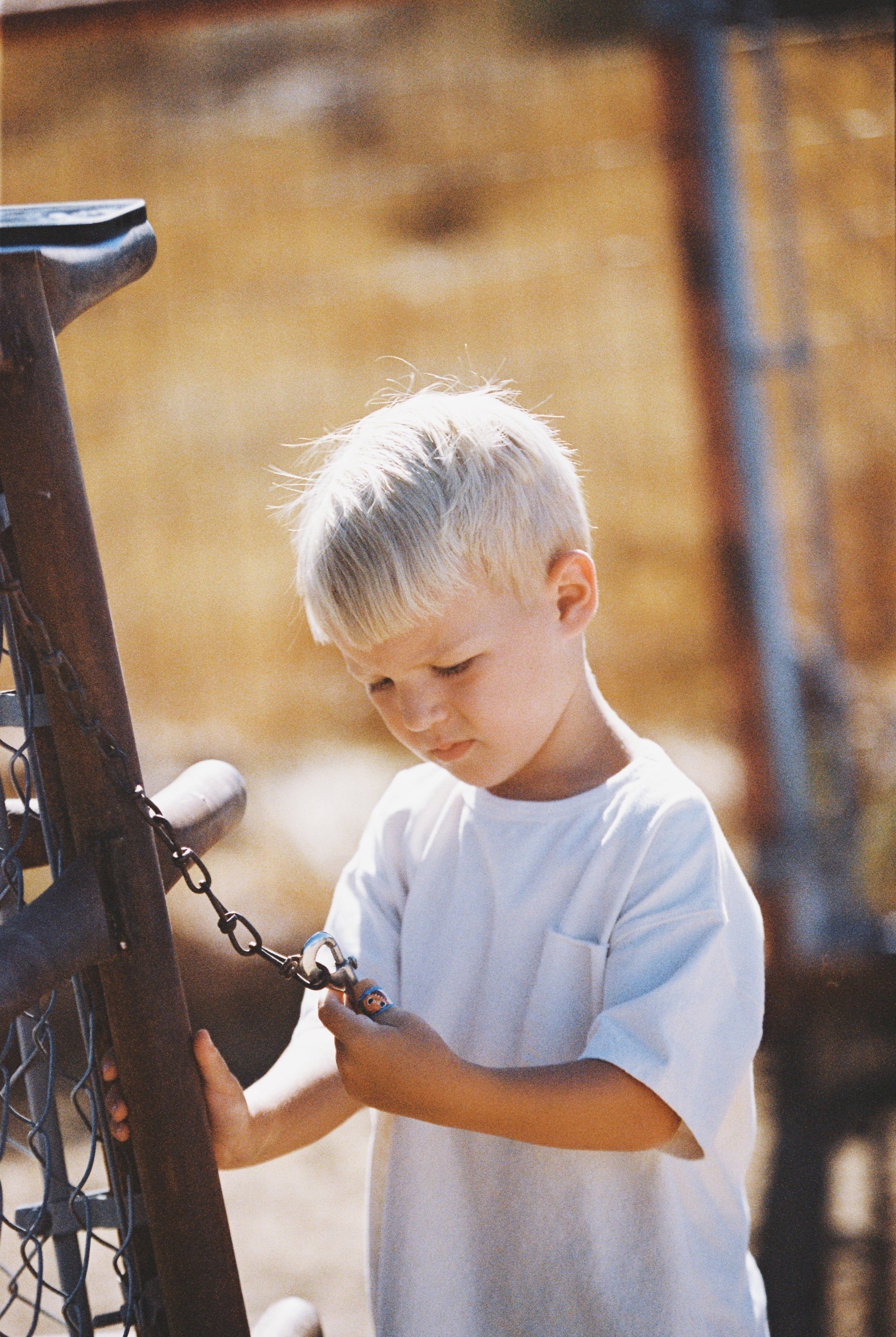 A young boy with blonde hair, wearing a white t-shirt, is holding a chain link and looking down, standing outdoors near a wooden and chain-link fence on a sunny day.
