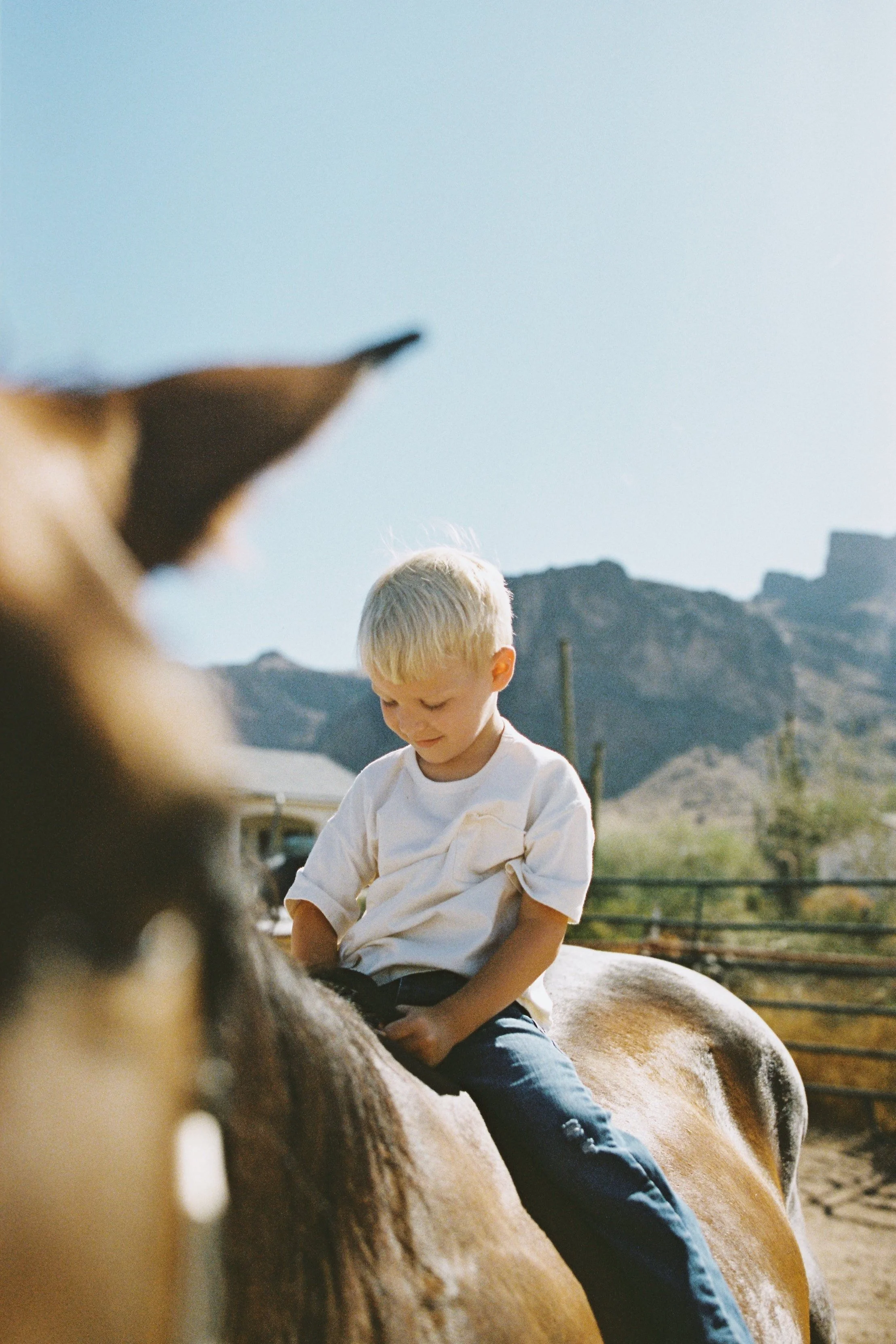 A young boy with blond hair is sitting on a horse, looking down, in an outdoor setting with mountains in the background and a clear blue sky.