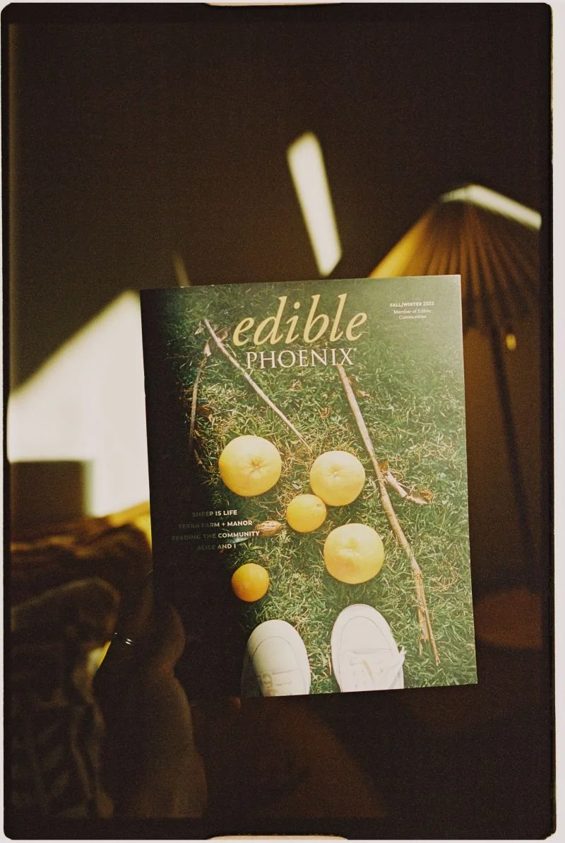 A person holding a magazine titled 'Edible Phoenix' with a cover image of yellow apples and a branch on grass, standing in front of a lamp and a dark background.