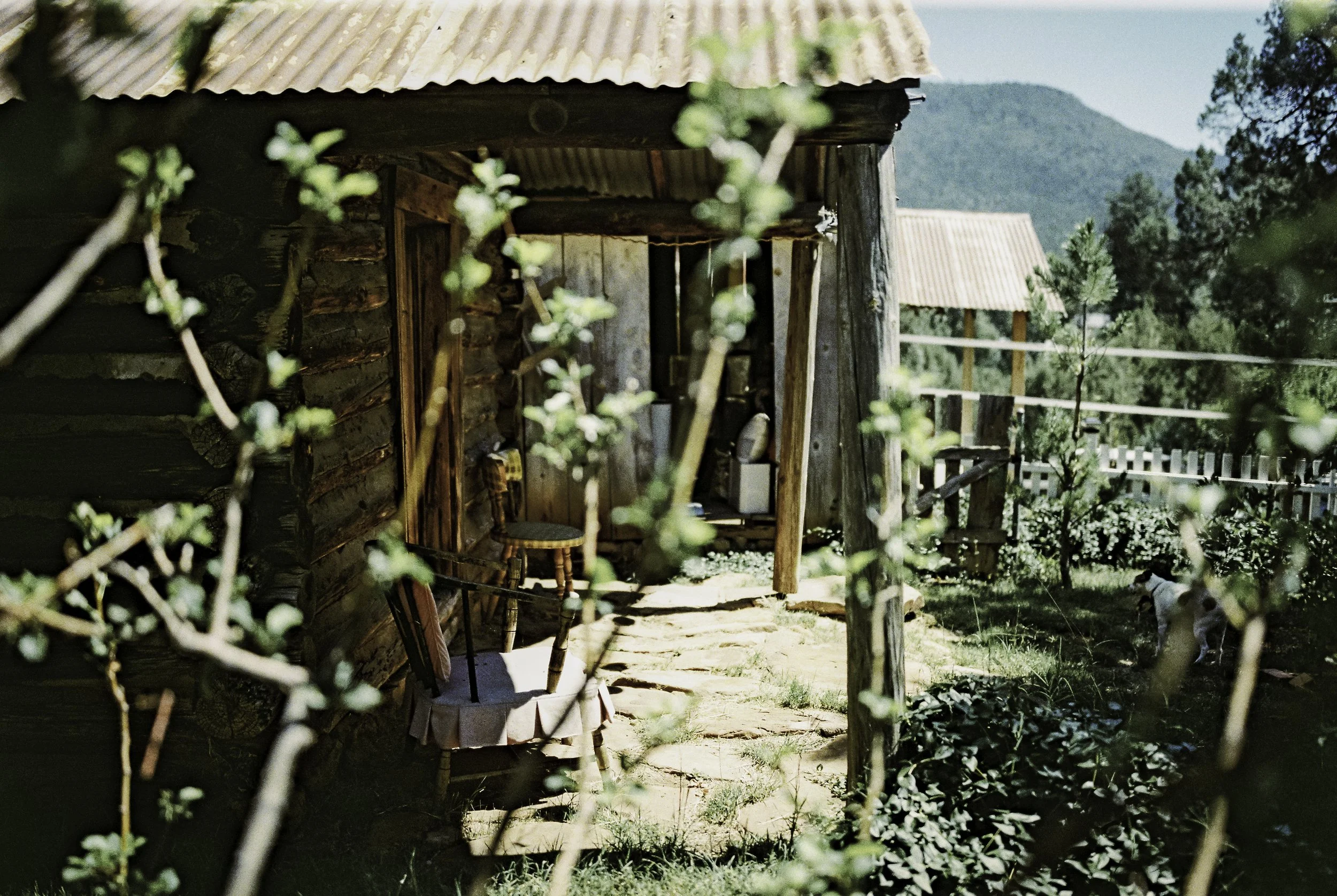 Rustic wooden cabin with a corrugated metal roof, surrounded by trees and mountains in the background, with an outdoor seating area visible.