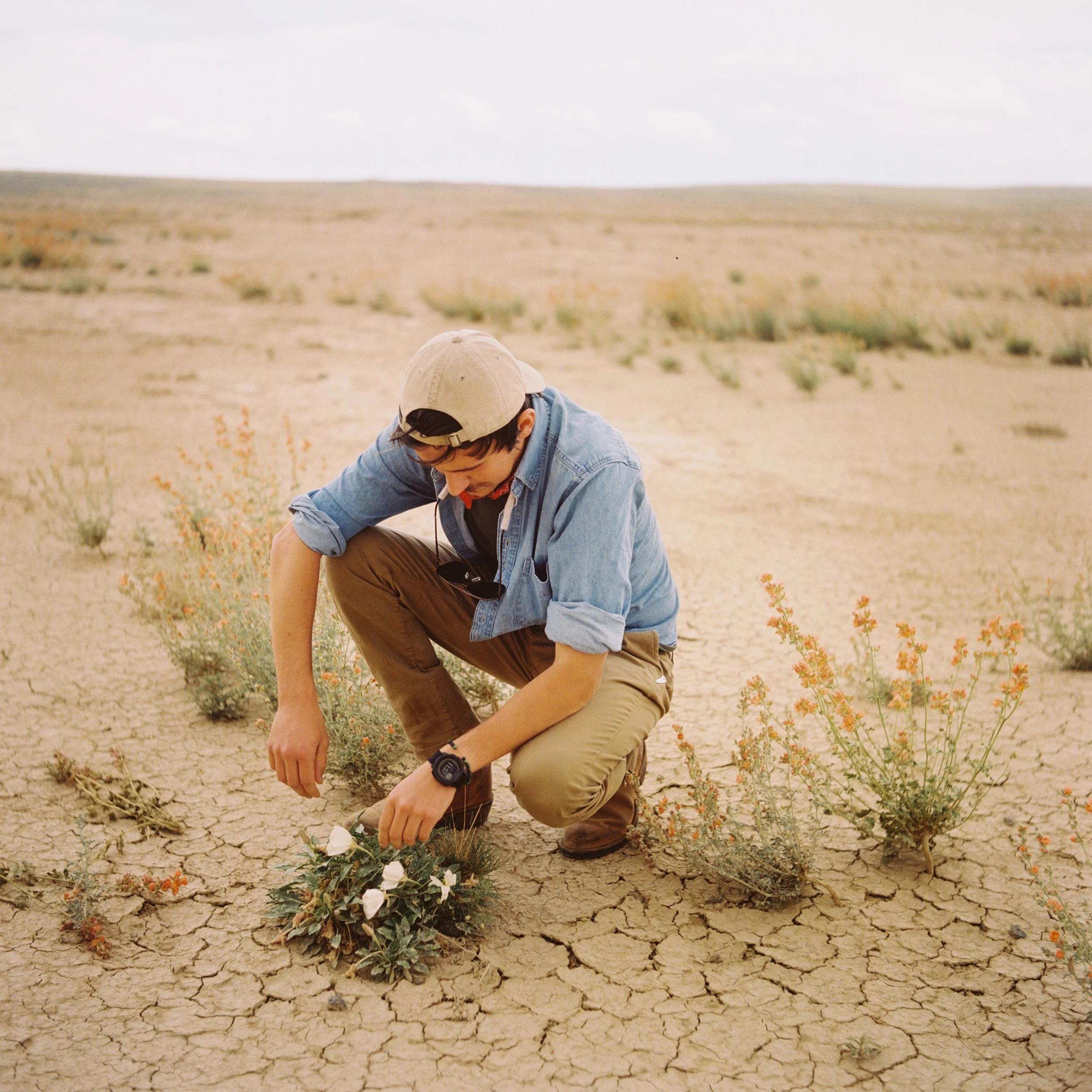 Young man crouching in a dry, cracked desert landscape planting flowers with patches of small desert plants in the background.