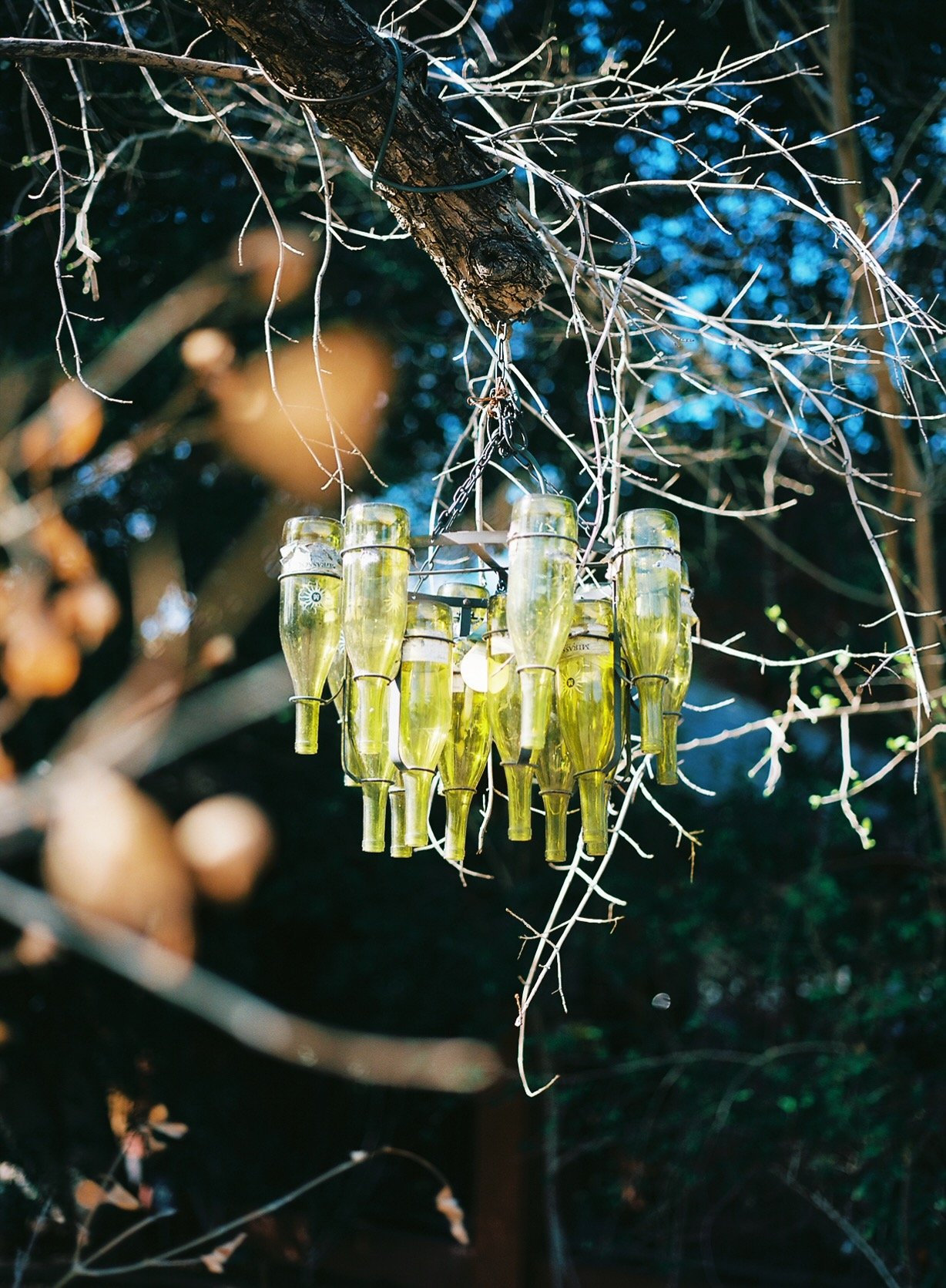 Bottle chandelier hanging from a tree branch.