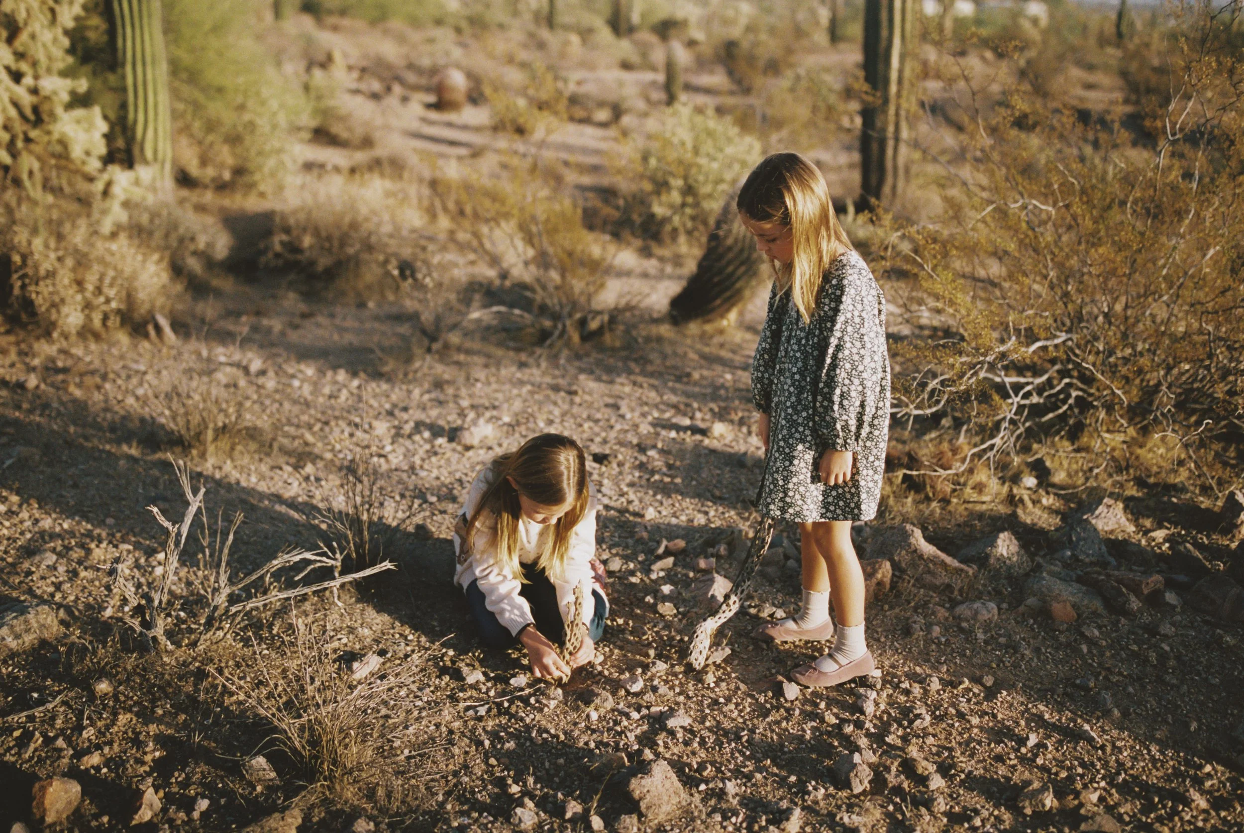 Two young girls with blonde hair in a desert landscape with cacti and dry bushes, one standing and one kneeling, observing something on the ground.