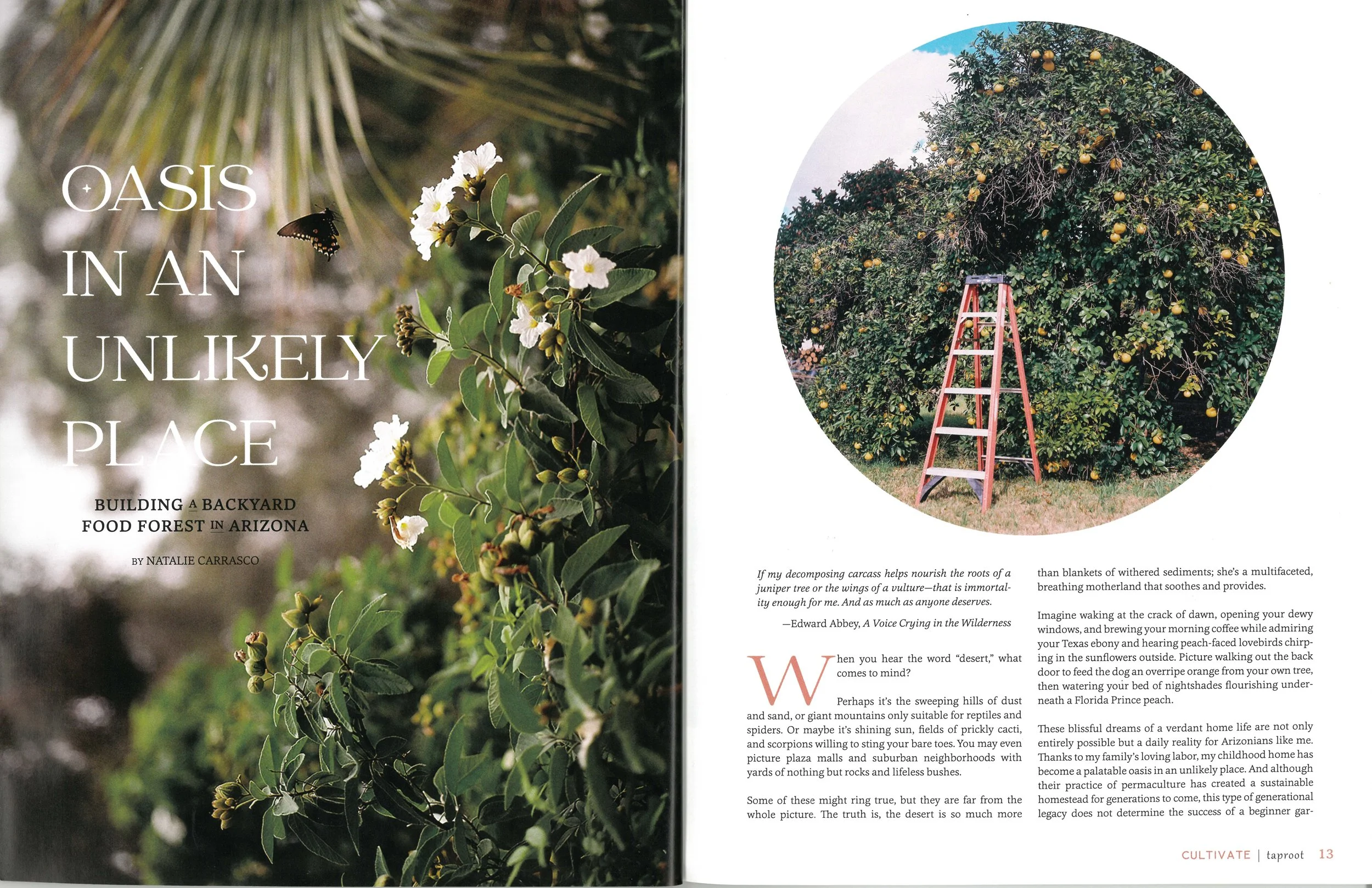 The left page features a garden scene with white flowers, a butterfly, and a butterfly perched on a leaf, with the title 'OASIS IN AN UNLIKELY PLACE' and subheading about backyard food forests in Arizona. The right page shows a circular photograph of