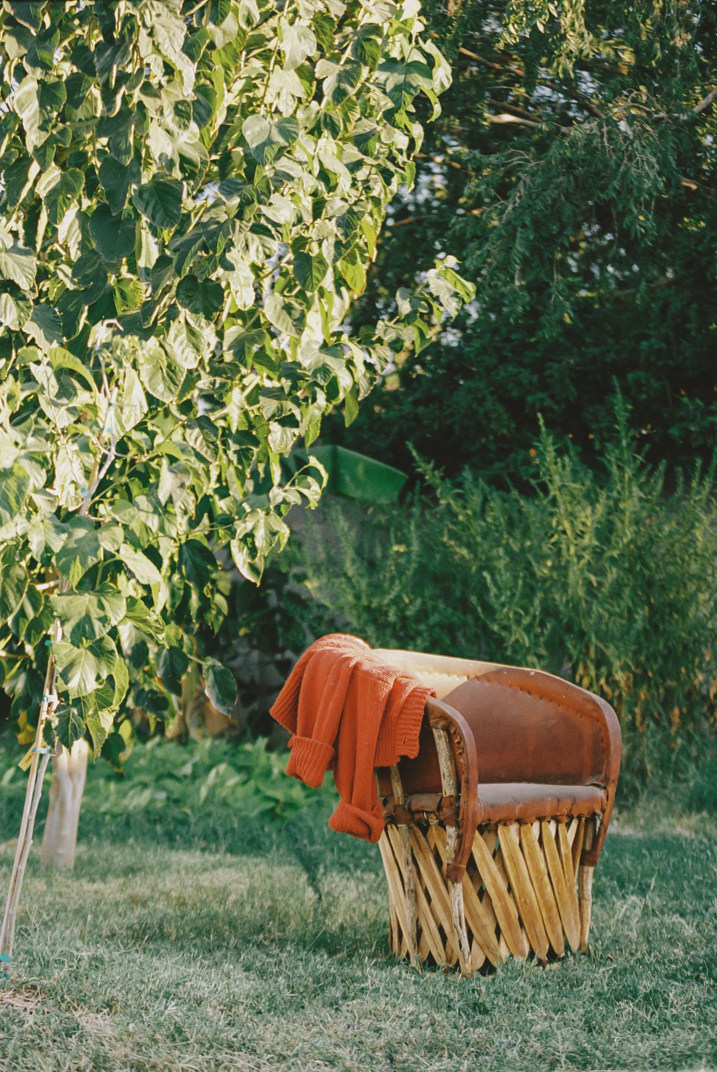 Outdoor scene with a wooden and leather armchair on grass, a red towel draped over it, and lush green trees in the background.