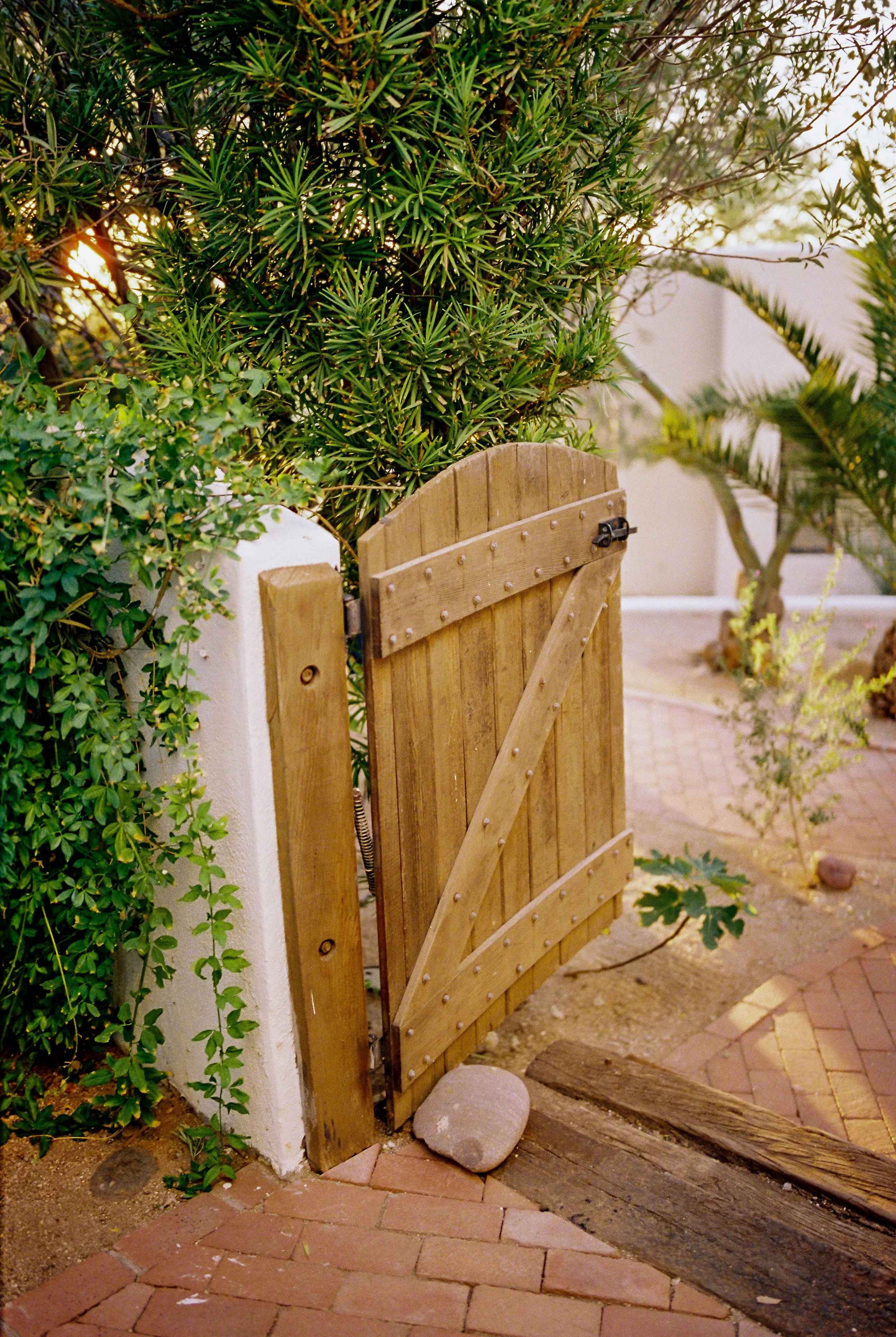 A small wooden gate attached to a white wall, surrounded by green shrubbery and plants, with a brick and wooden walkway in front.