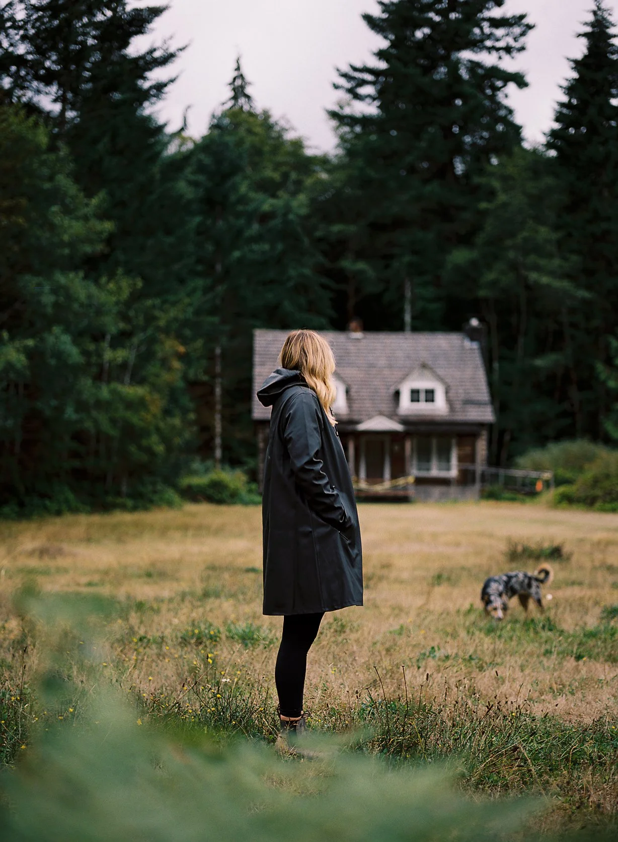 A woman in a black coat stands on a grassy field with the back facing the camera, while a dog forages nearby. In the background, there is a wooded area with tall trees and a small house with a sloped roof.