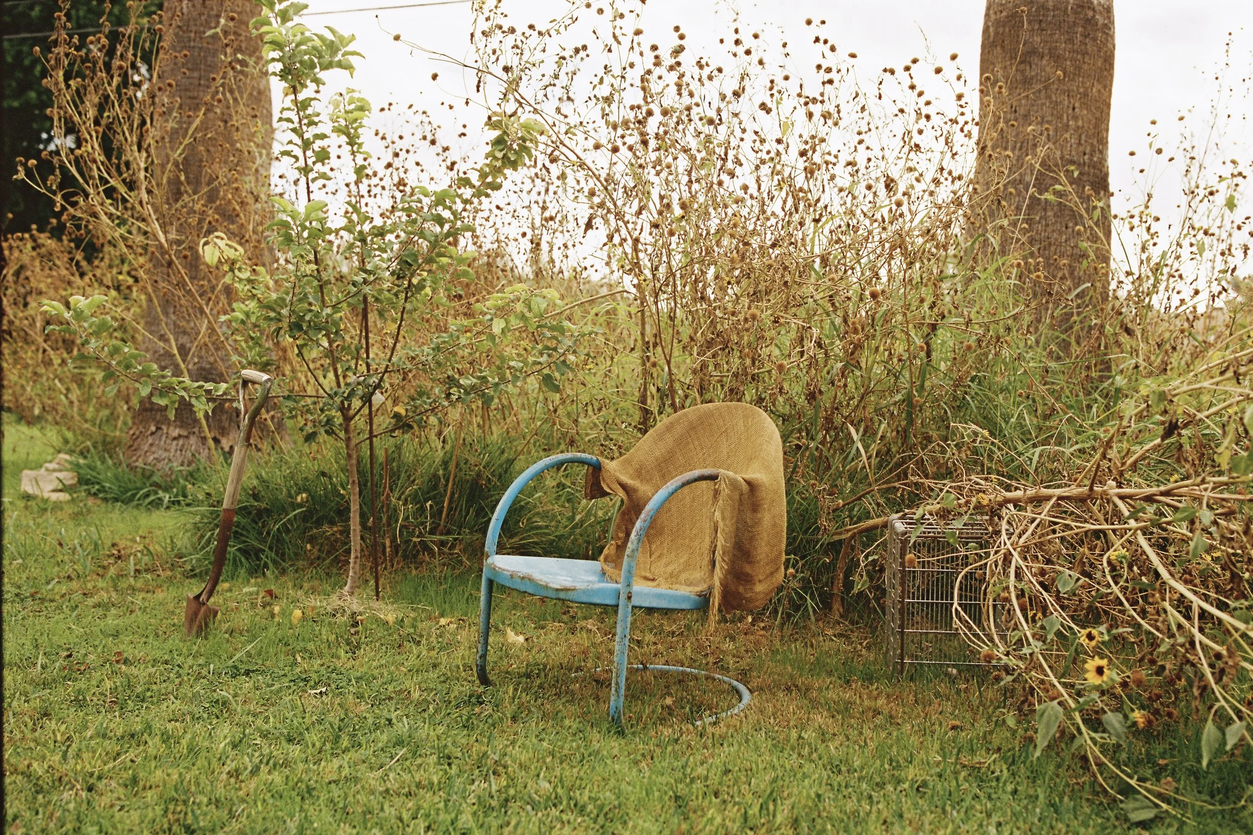 Abandoned blue metal chair with a brown cloth draped over it in overgrown garden, surrounded by dry plants, trees, and grass.