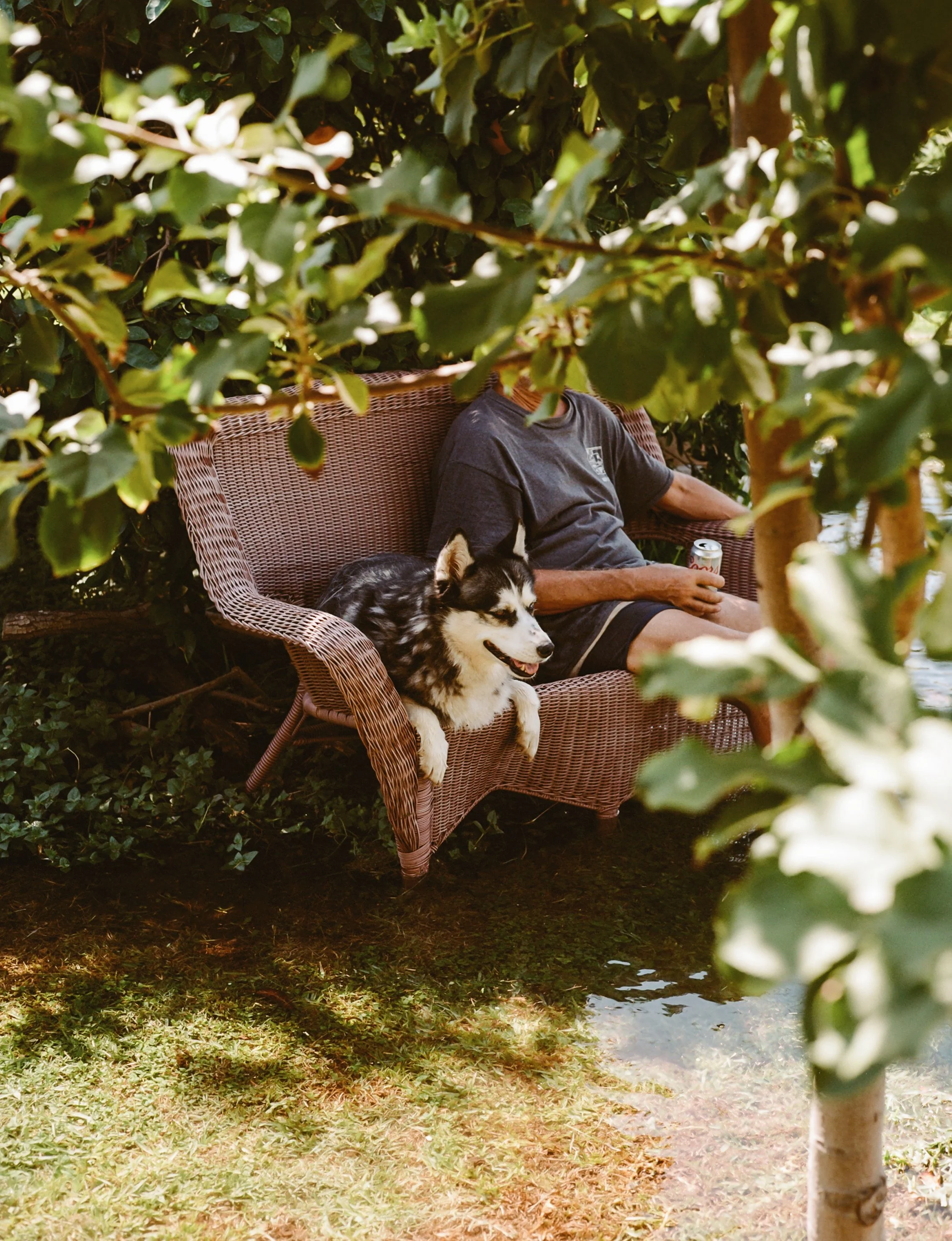 Person sitting on a wicker bench, holding a can, with a Siberian Husky dog lying on the bench beside them, surrounded by lush green trees and grass, near a small body of water.