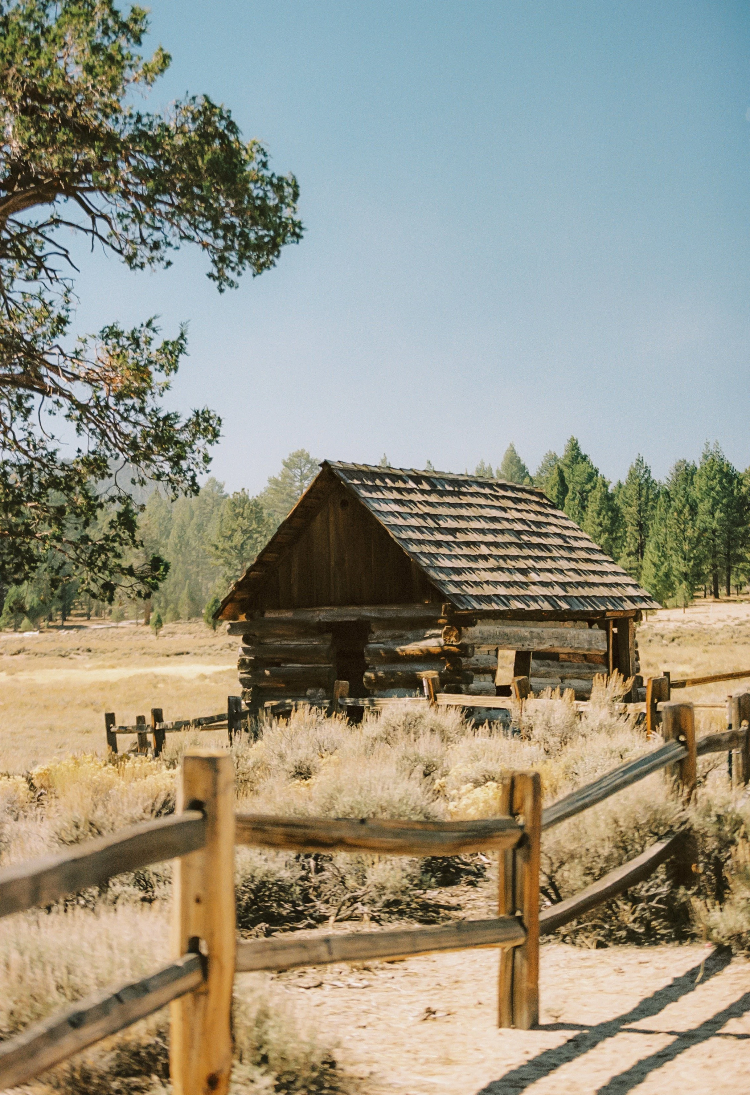 A rustic wooden cabin in a rural area with a dirt road and a wooden fence in the foreground, surrounded by dry grass and trees in the background under a clear blue sky.