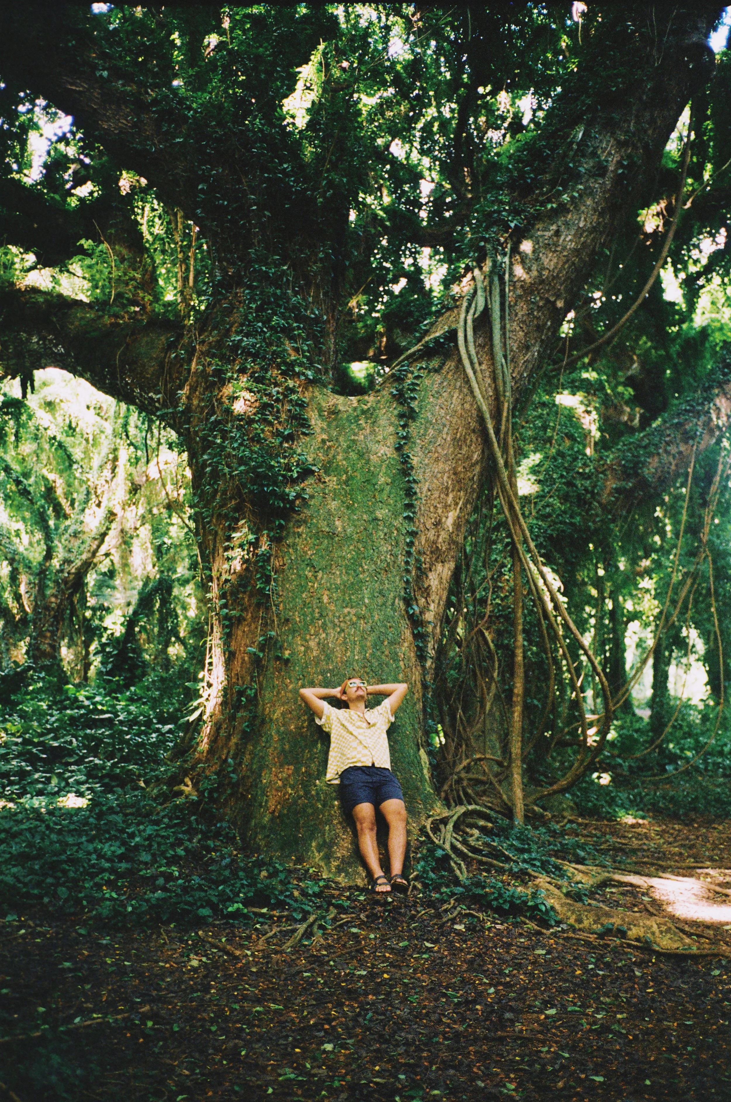 A person with glasses, wearing a yellow and white checkered shirt and black shorts, sitting with their back against a large tree trunk in a lush jungle or forest, relaxing with their hands behind their head.