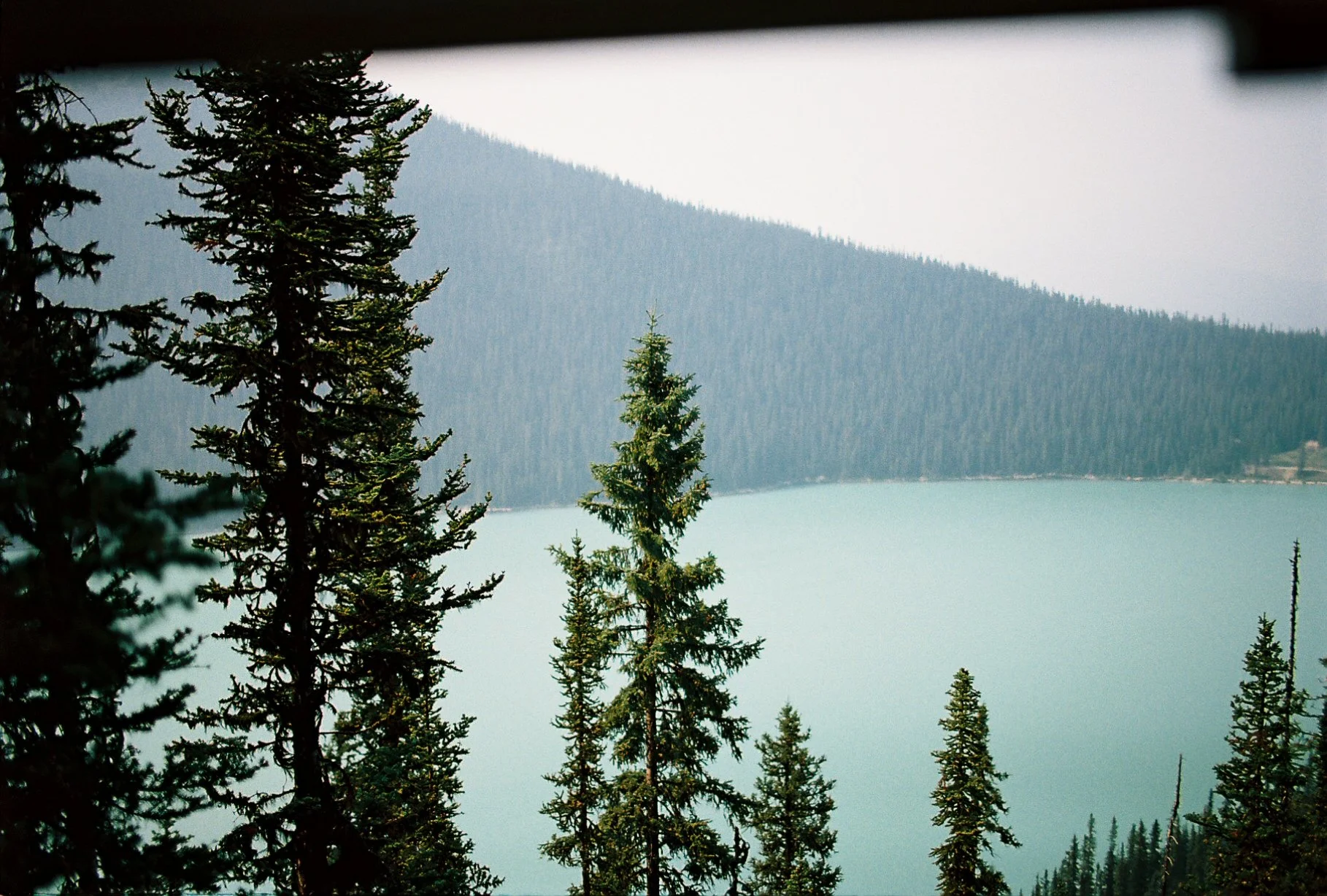 A scenic view of a lake surrounded by a dense forest of tall evergreen trees and mountain slopes in the background.
