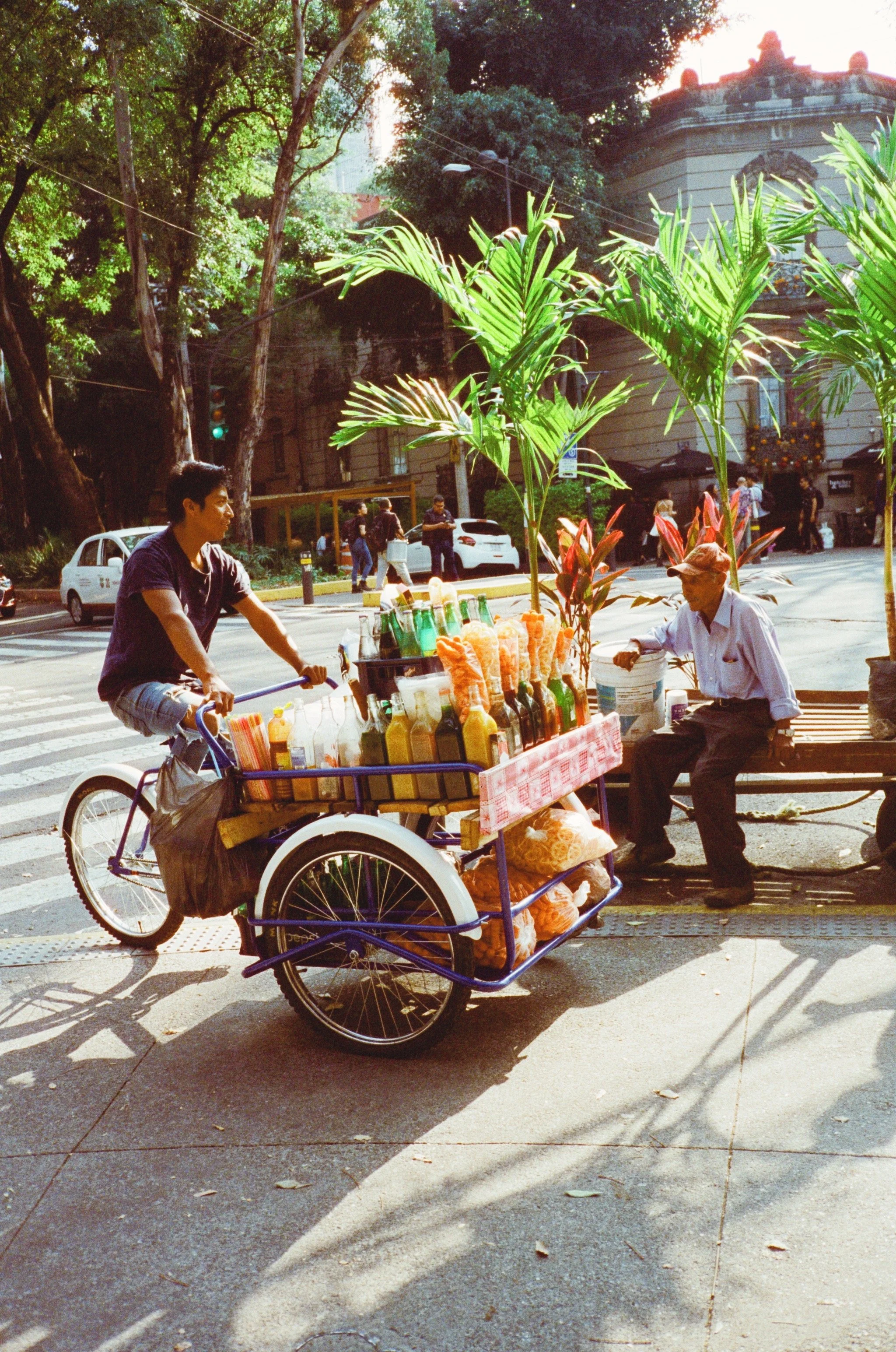 A young man riding a bicycle with a cart filled with bottles and condiments, passing by an older man sitting on a bench under tall palm trees on an urban street.