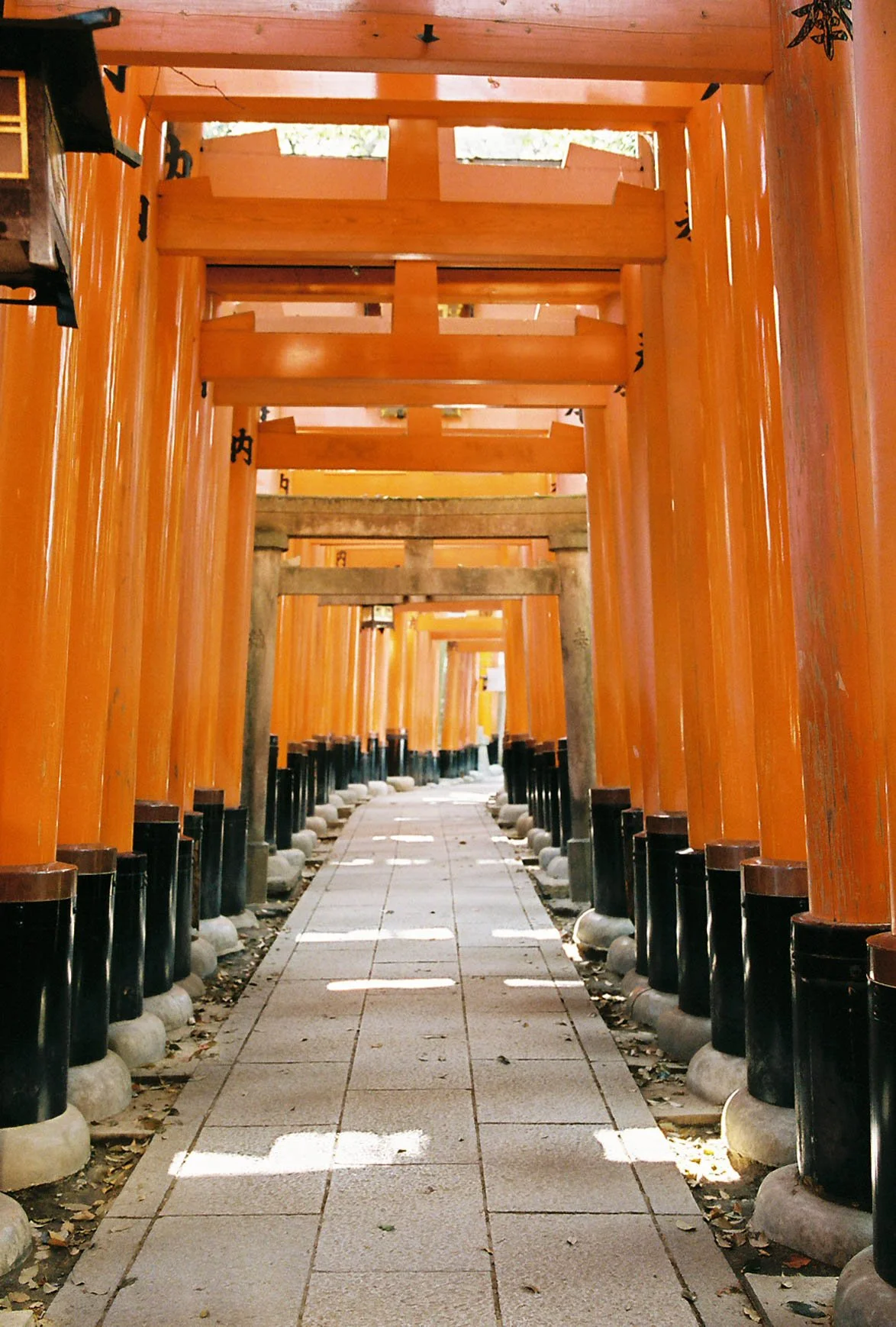 A pathway lined with numerous orange torii gates leading through a shrine, with sunlight illuminating the path.