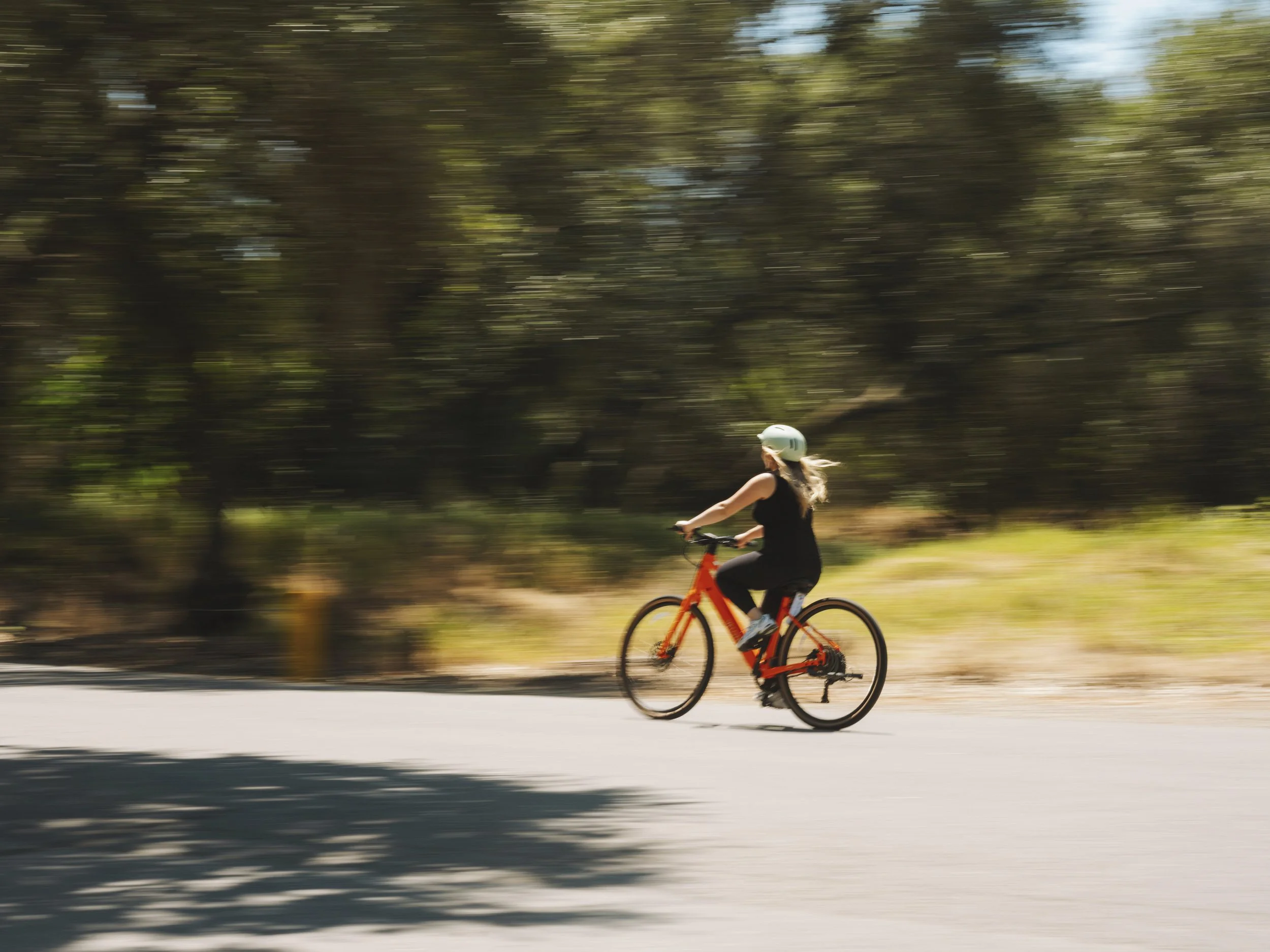 Velotric_Dealers_2026_-4.jpg