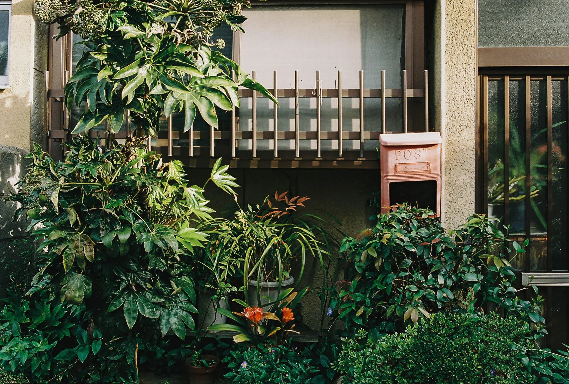 A garden with various green plants and bushes in front of a building, with a pink mailbox mounted on the wall. The building has a window with closed blinds, and there is a small balcony above the mailbox.