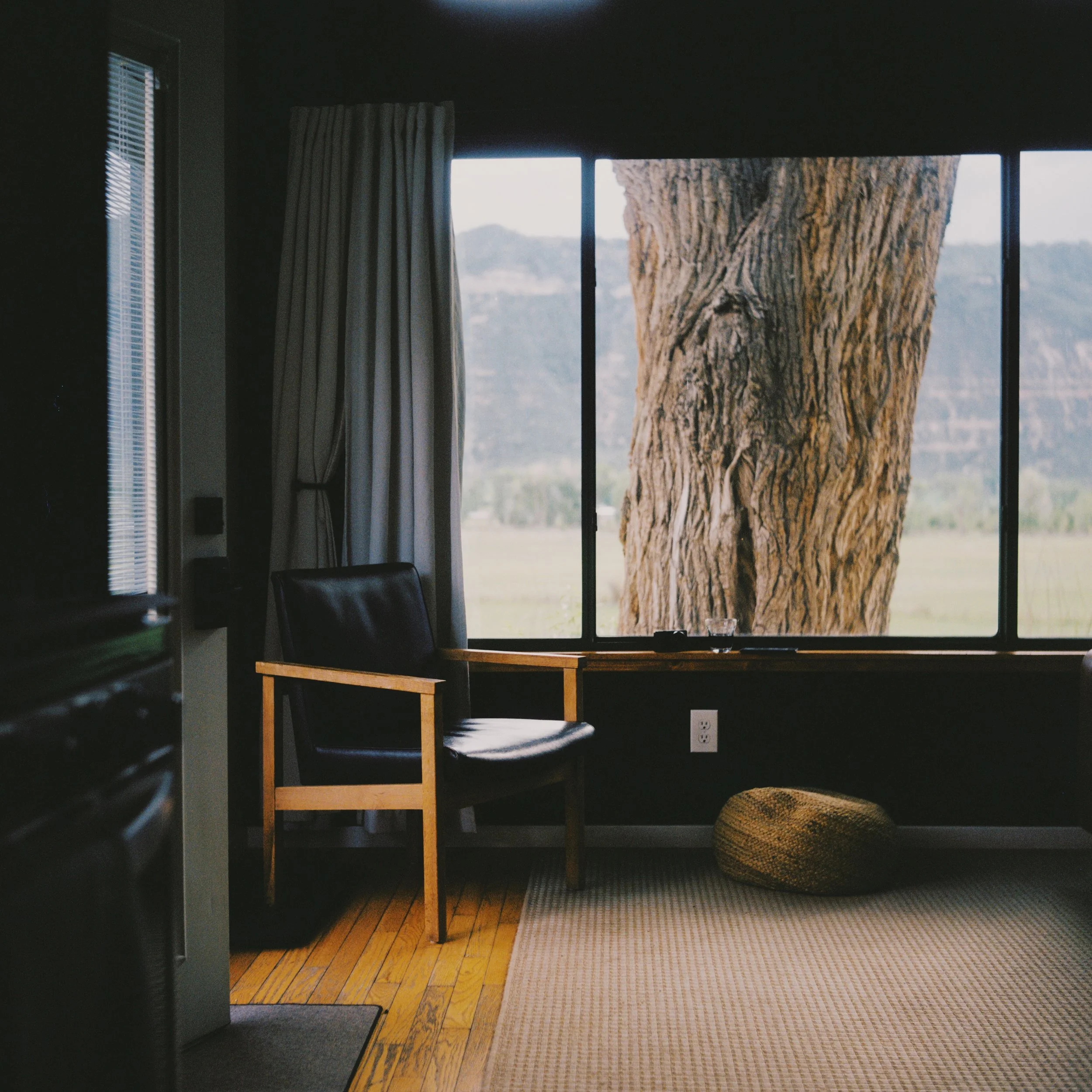 Interior view of a room with large window showing a tree outside, a black chair with wooden arms, a hearth rug, and a bean bag on a beige carpet.