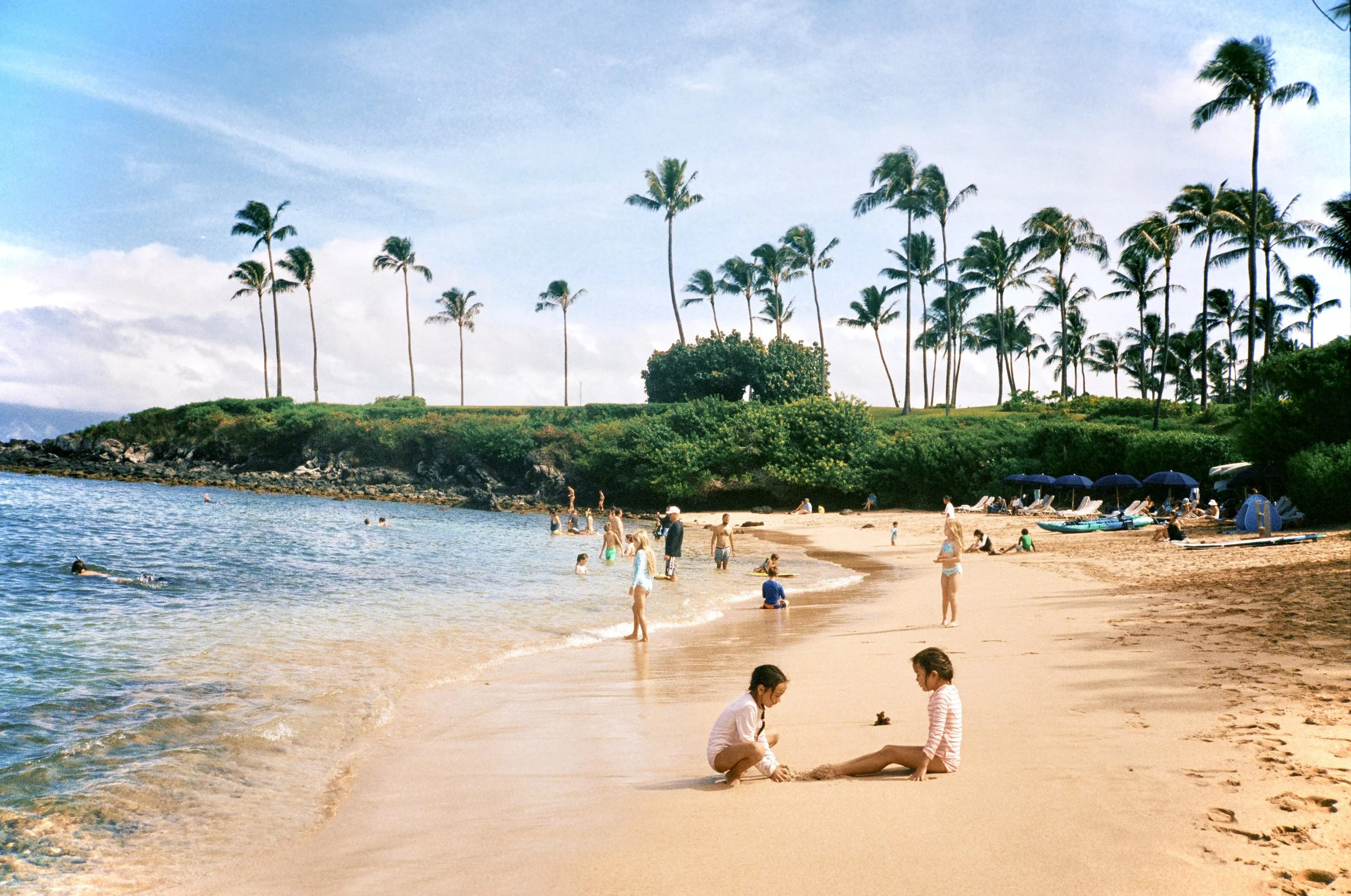 People enjoying a sunny day at a tropical beach with palm trees, sandy shore, and calm water.