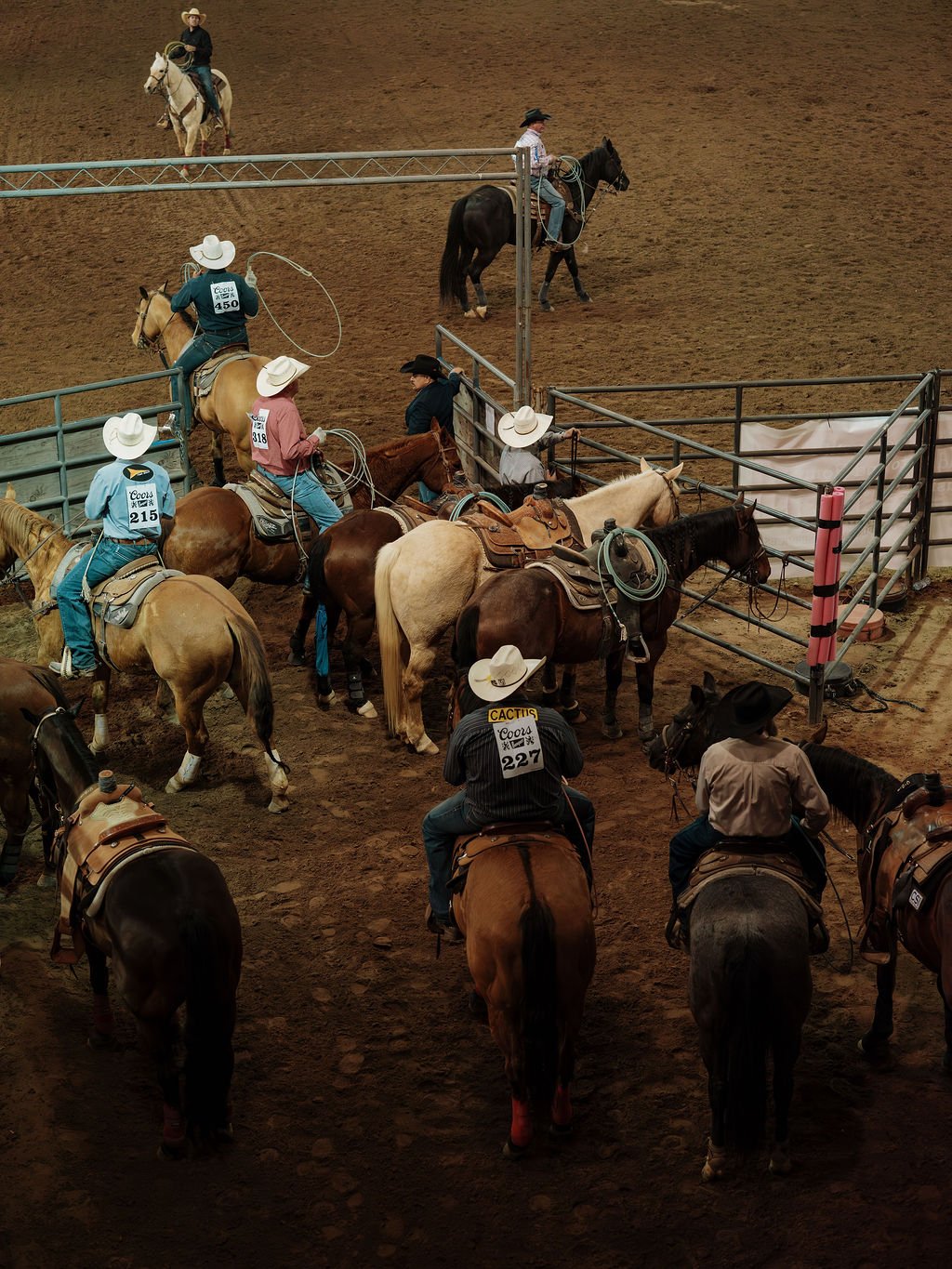 Multiple cowboys on horseback preparing for a rodeo event in an indoor arena. Some are standing and adjusting their gear near the gate, while others are riding and circling in the arena.