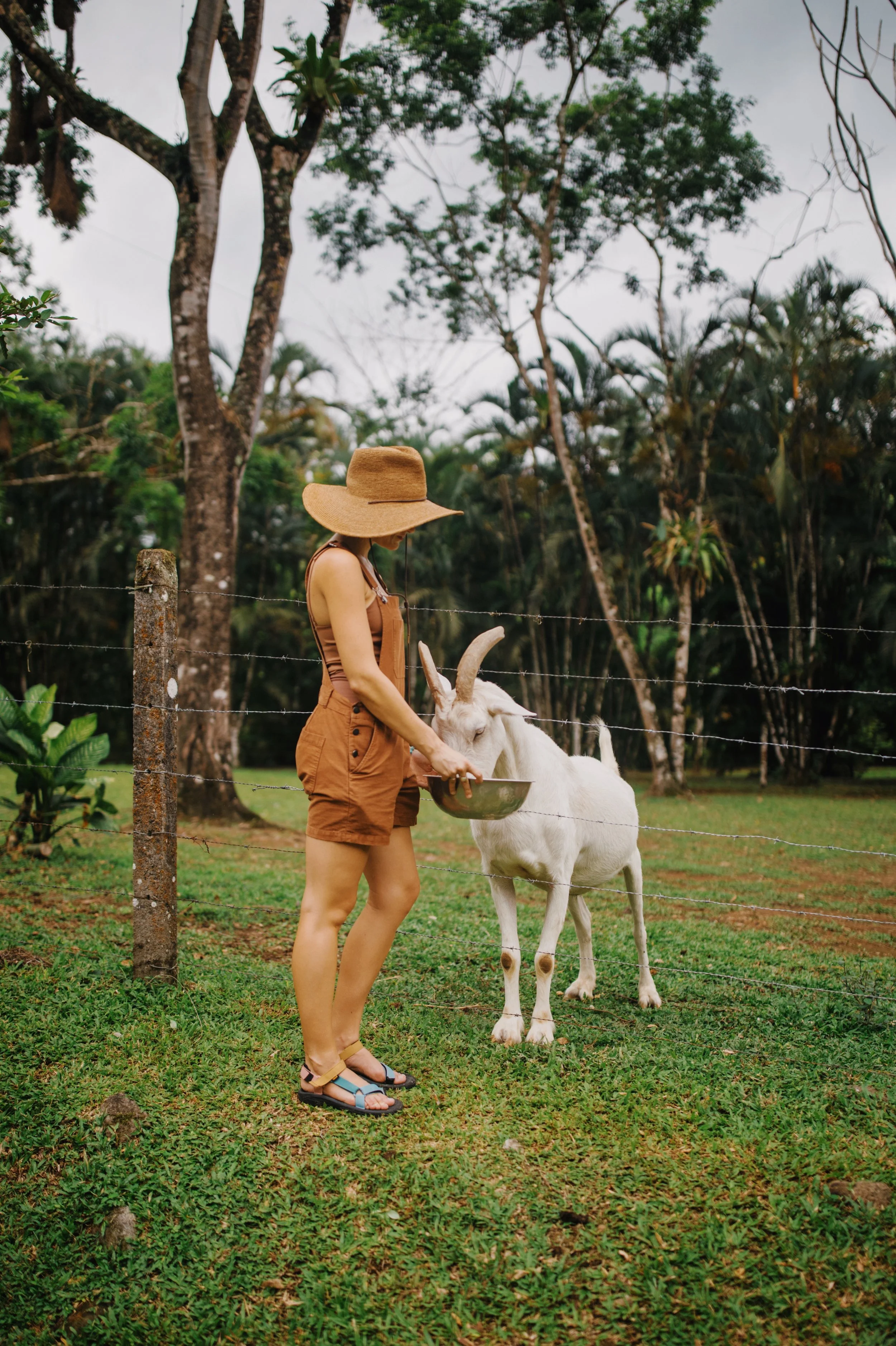 Woman in brown romper and wide-brimmed hat feeding a white goat with curved horns inside a fenced grassy area, surrounded by trees.