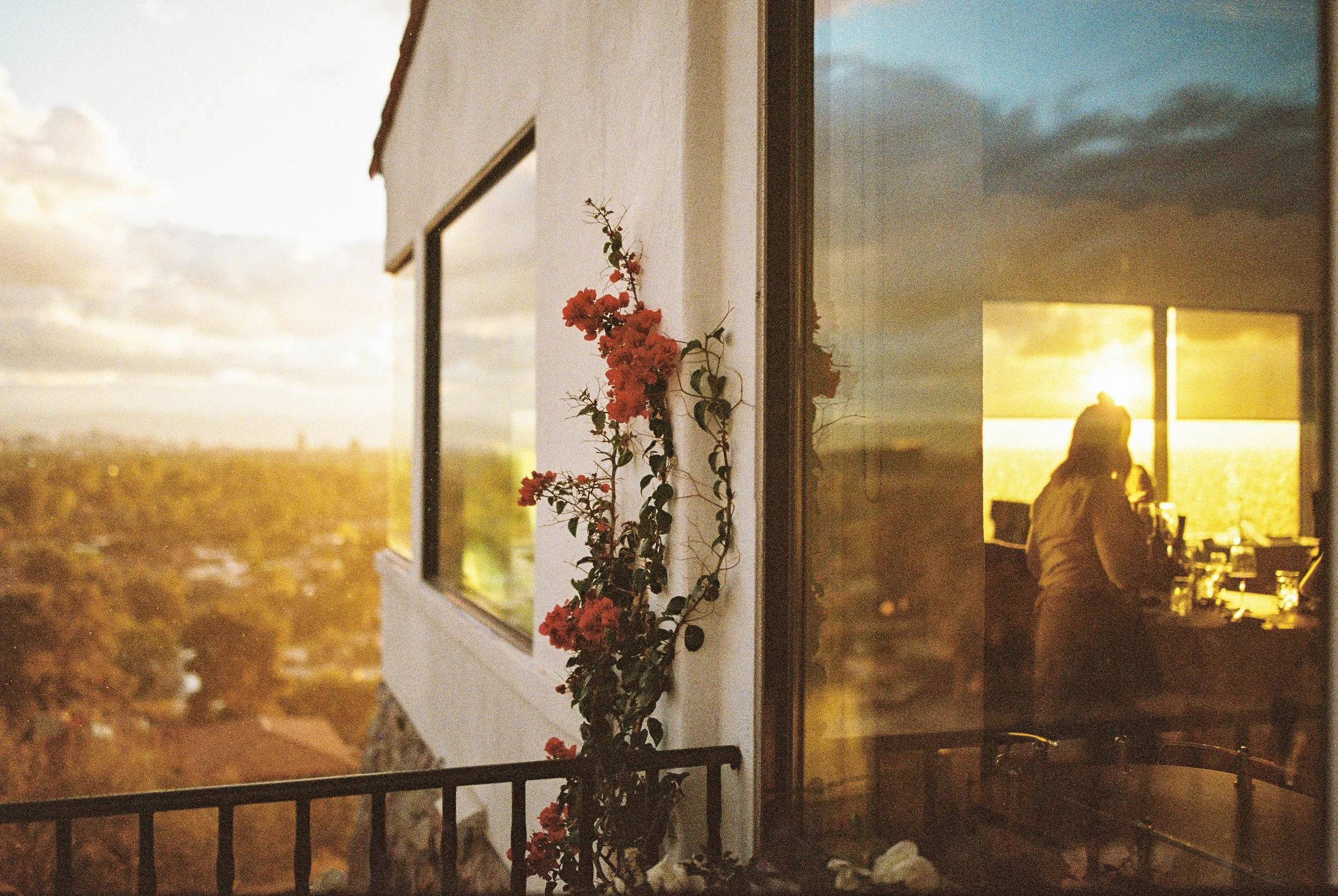 Sunset view from a balcony with flowering vine on wall and a woman inside sitting by the window with sunlight streaming in.