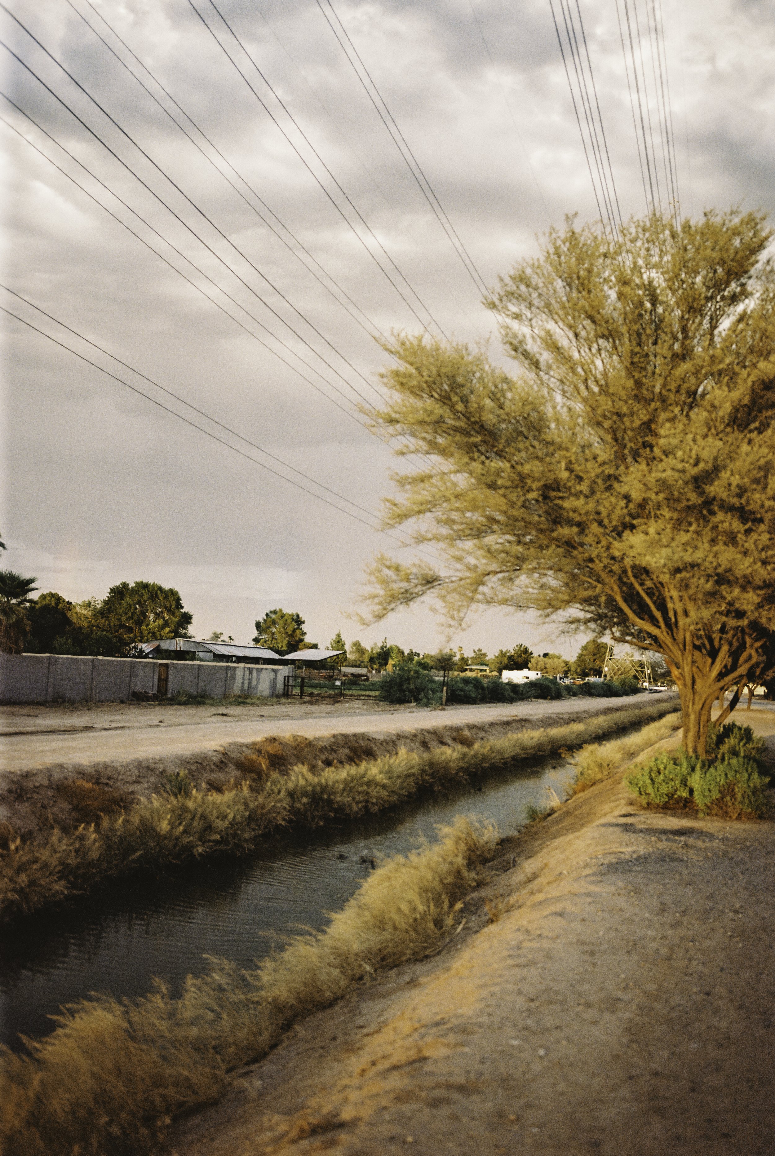 A small canal bordered by a dirt path and a large tree with golden leaves, under a cloudy sky, with power lines overhead.