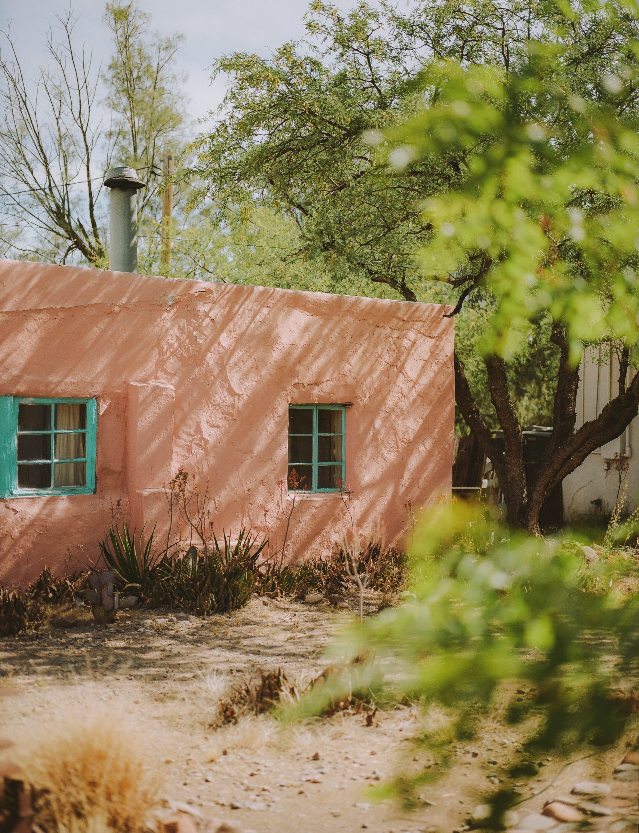 99914257-135808-VSCO3.jpg