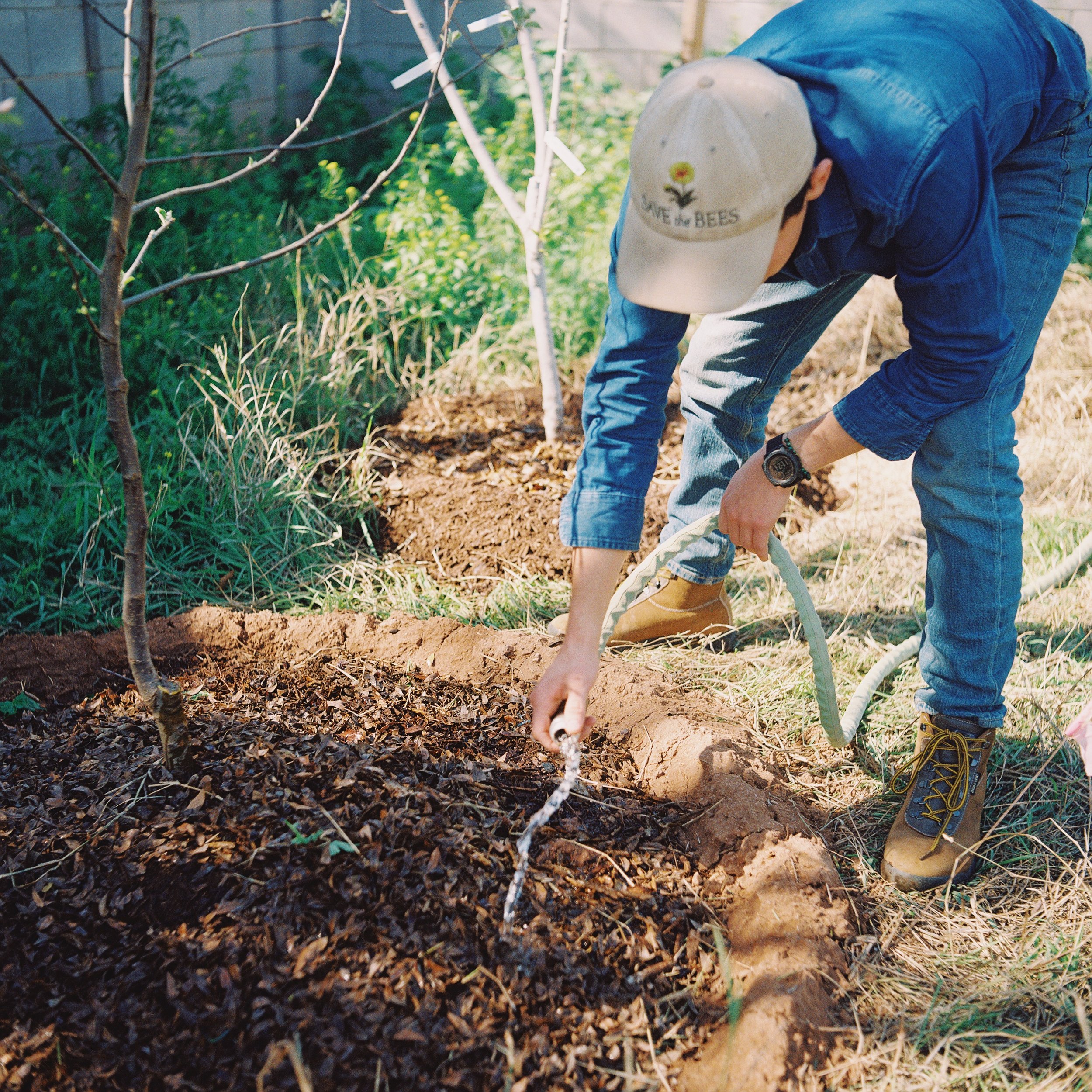 Person planting or tending a garden, wearing a beige cap with a bee and flower logo, blue jeans, a blue jacket, and brown boots, using a garden hose to water the soil.