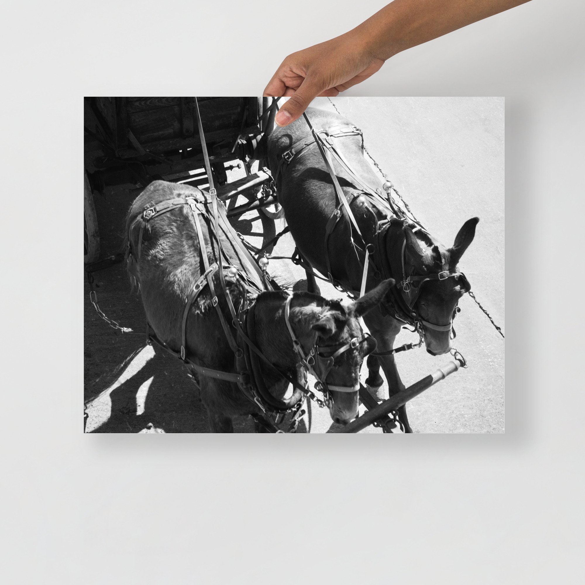 enhanced-matte-paper-poster-(in)-16x20-front-681f933d33ec5.jpg