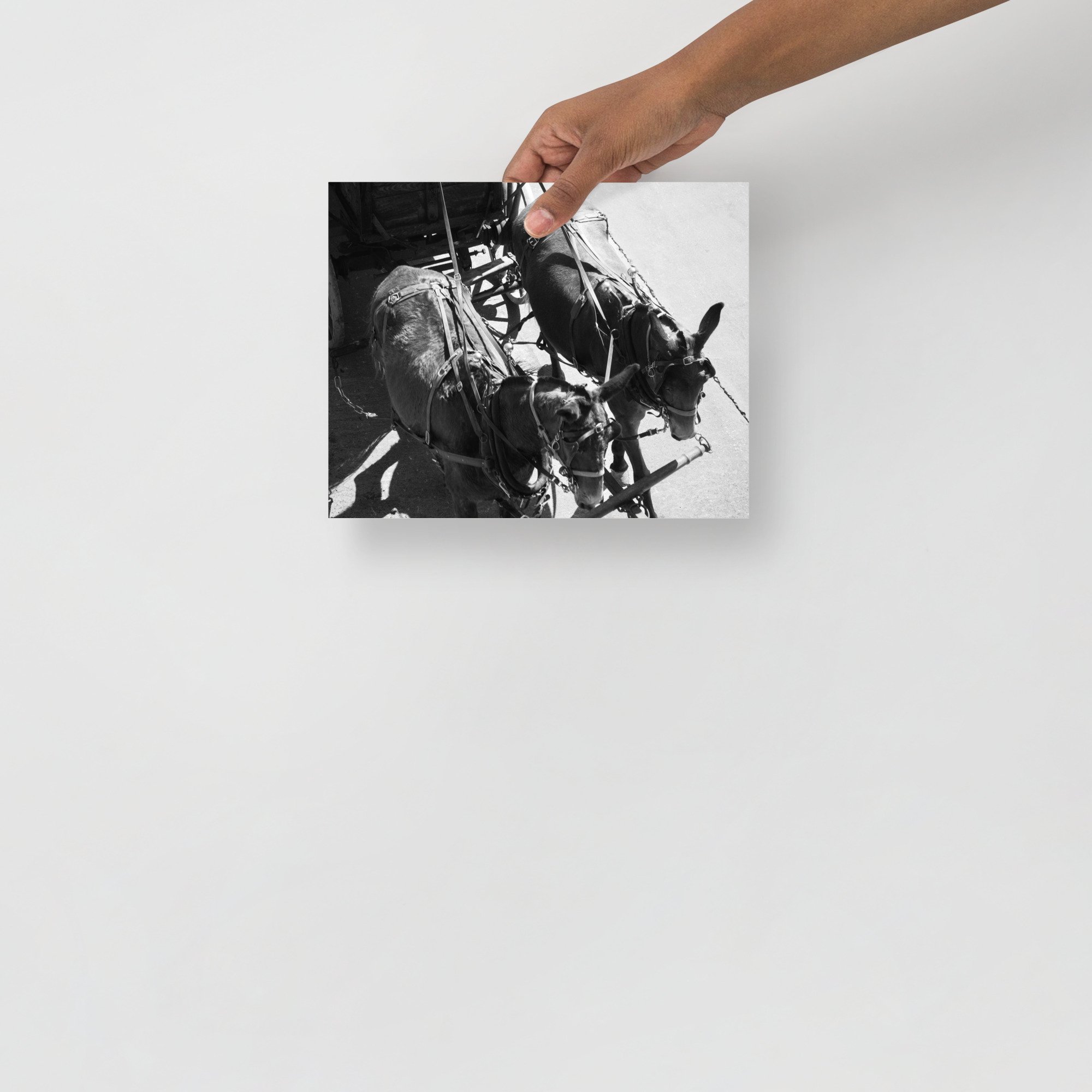 enhanced-matte-paper-poster-(in)-8x10-front-681f933d34644.jpg