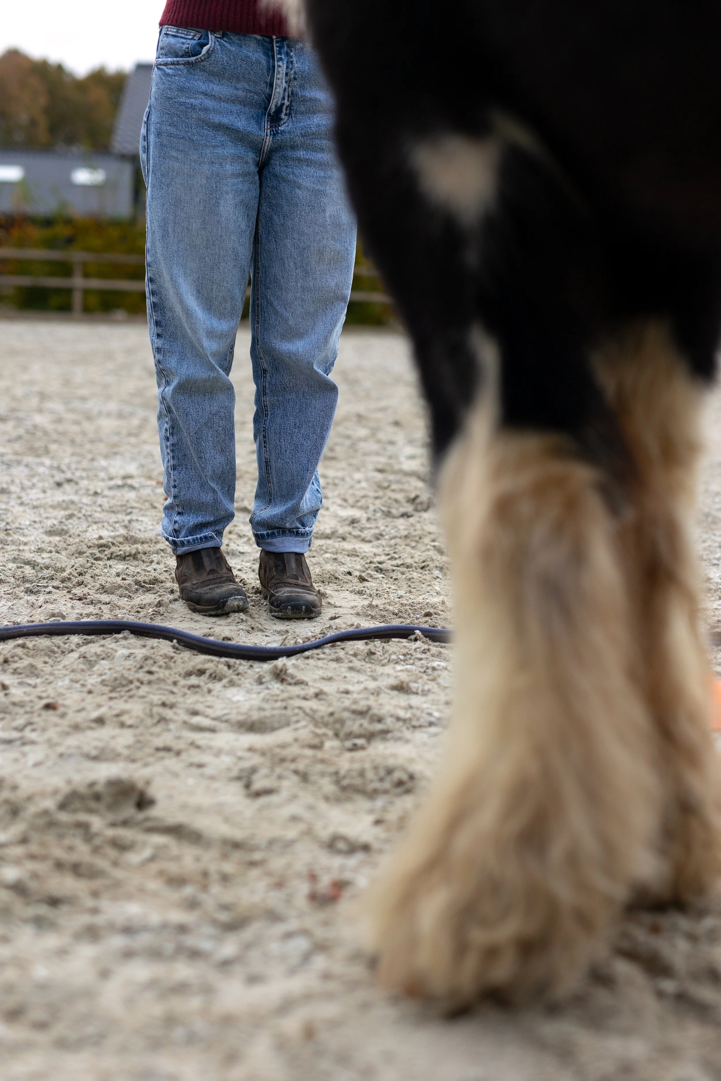 Hooggevoeligheid coach