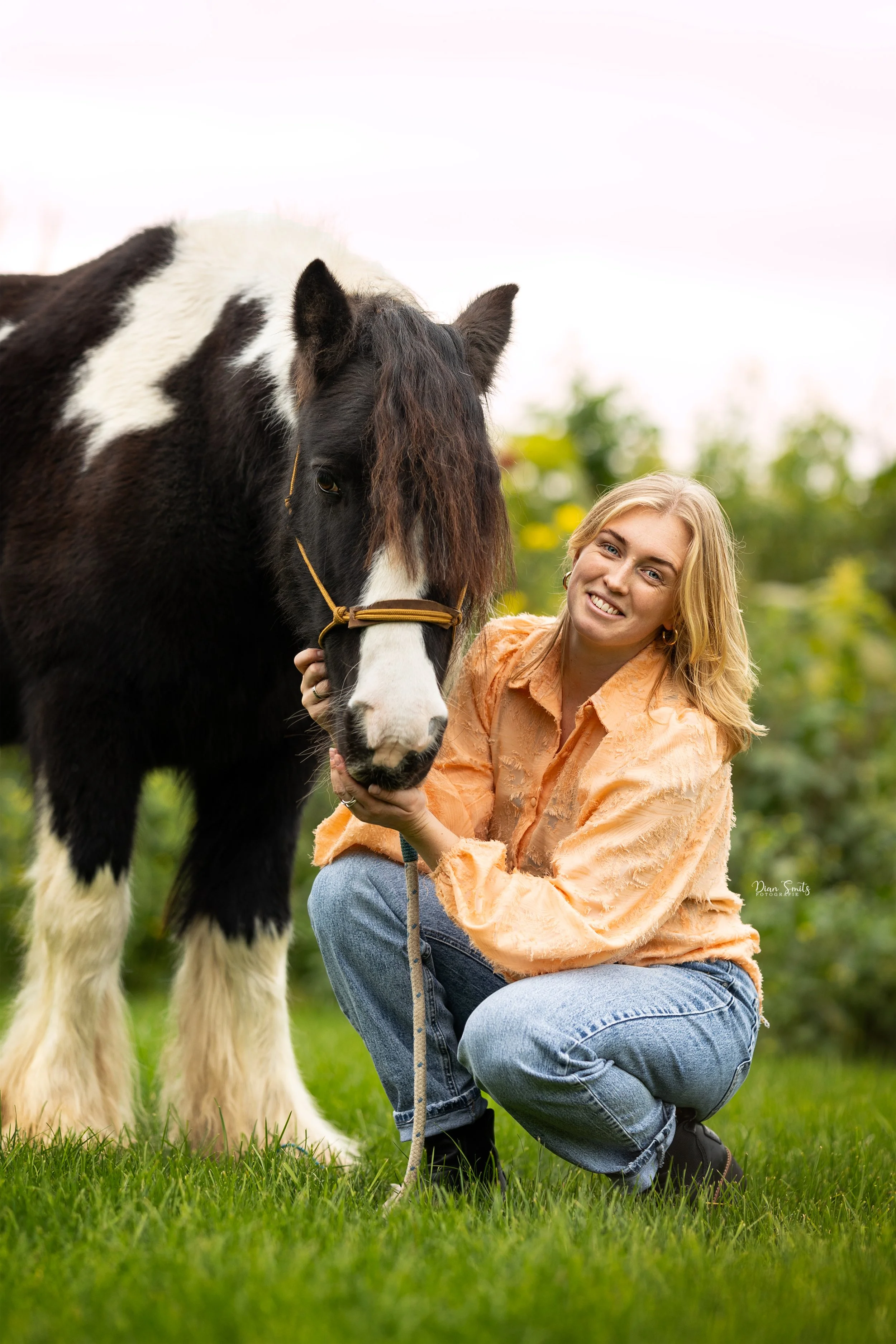Paardencoaching Veluwe