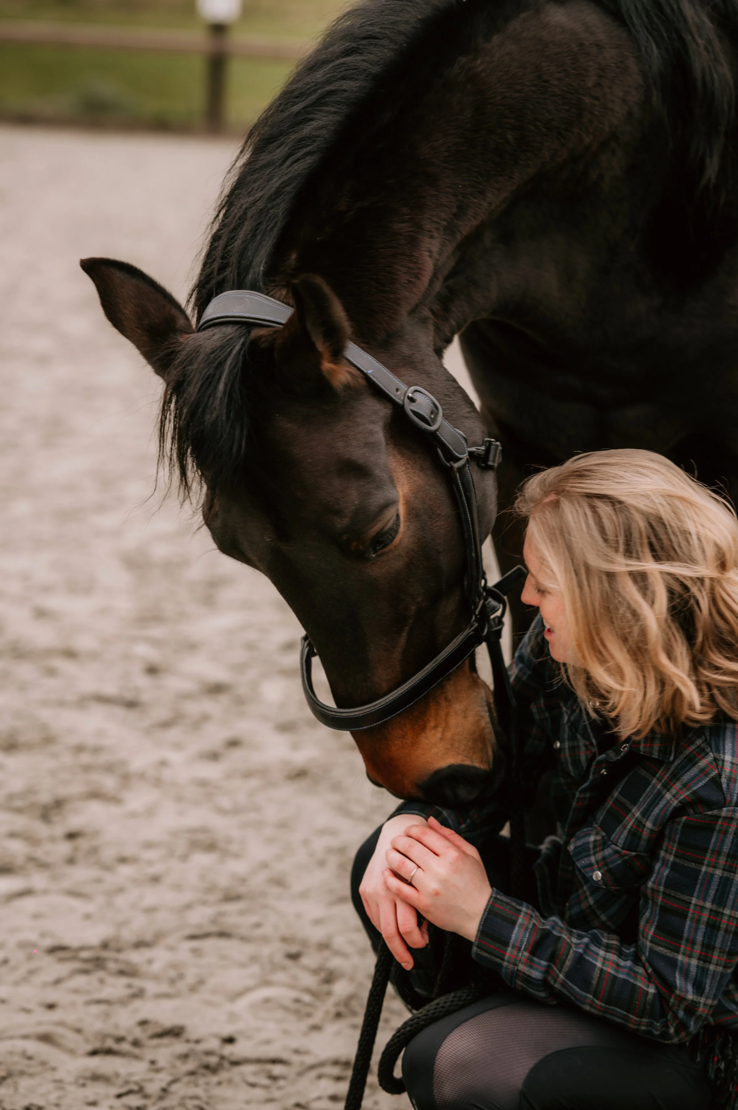 Paardencoaching Veluwe