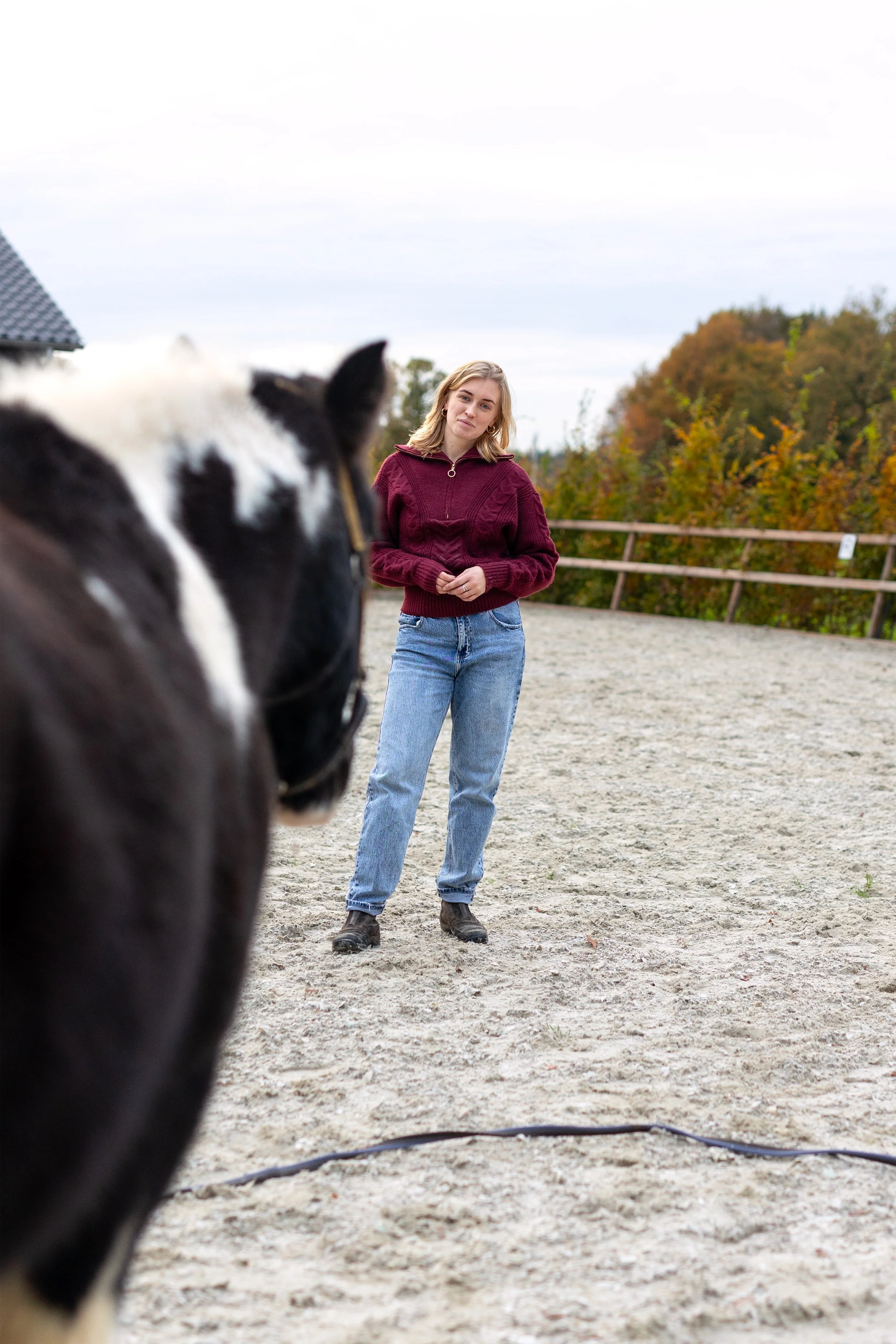 Paardencoaching Arnhem