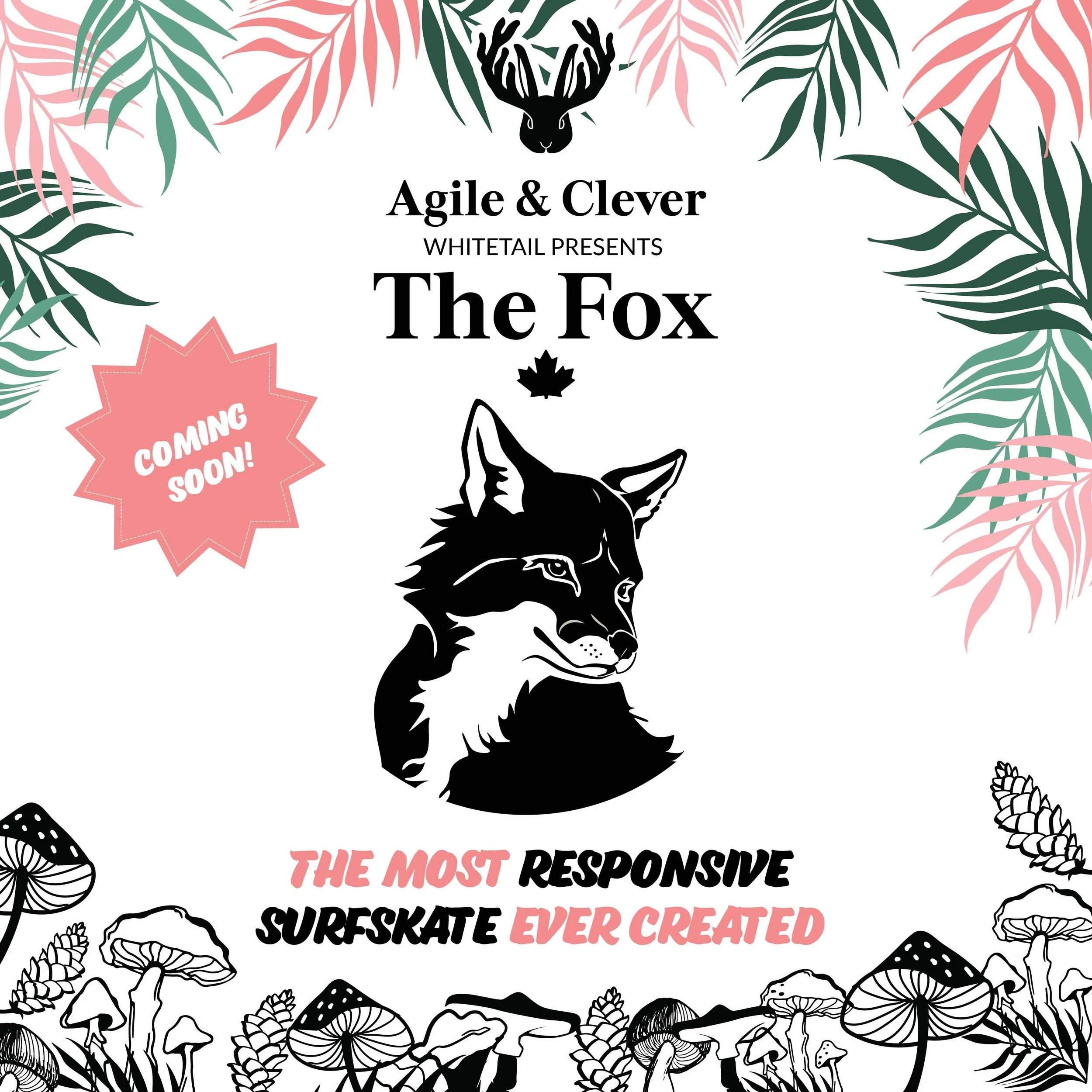 FOX-25-comingsoon-2-small.jpg