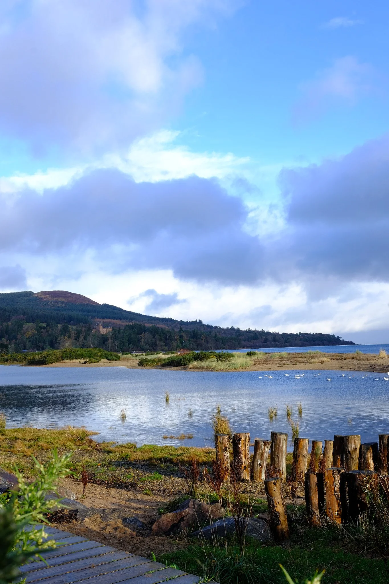 Landscape - Scotland
