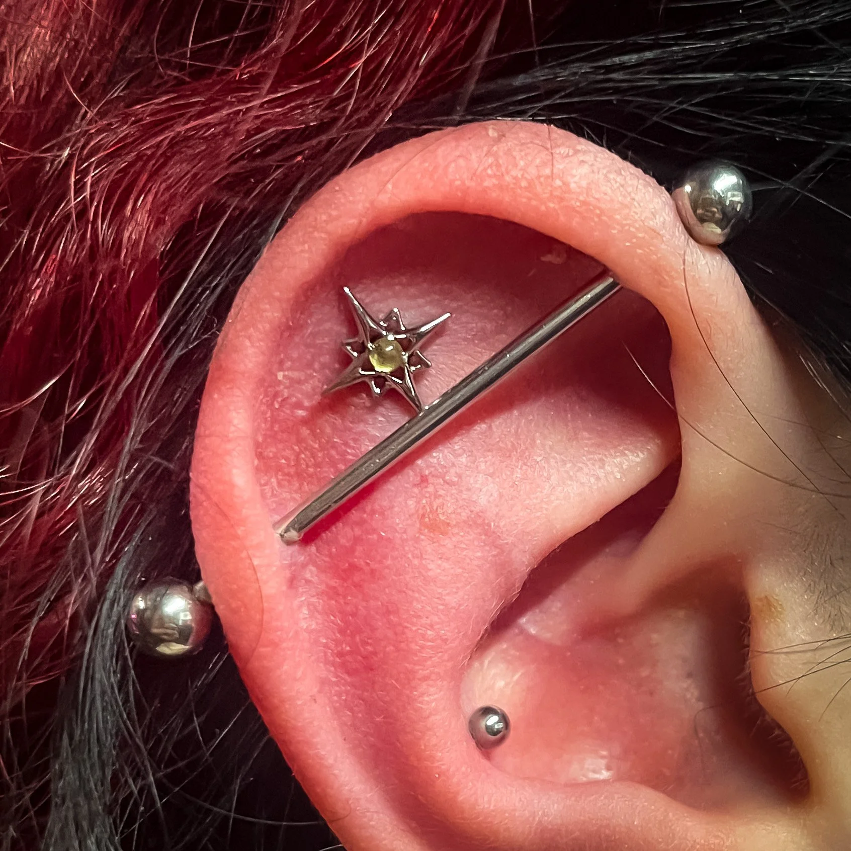 TATE BODY ART PIERCINGS BODY PIERCINGS JEWELLERY (5).JPEG