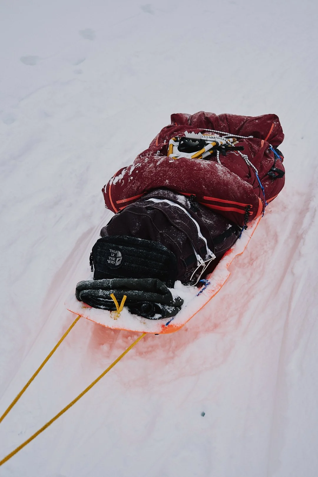 327-MOOA STUDIO - ANTOINE COLLET - LAPLAND ACTIC ULTRA.jpg