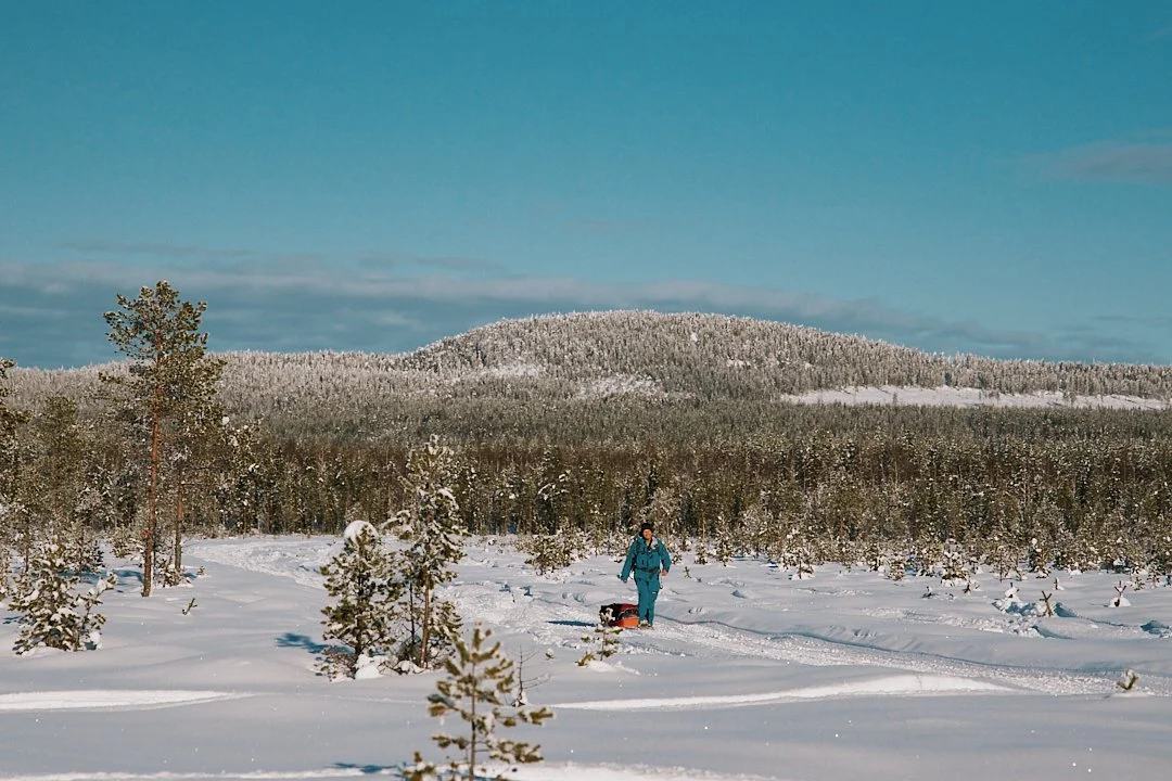 339-MOOA STUDIO - ANTOINE COLLET - LAPLAND ACTIC ULTRA.jpg