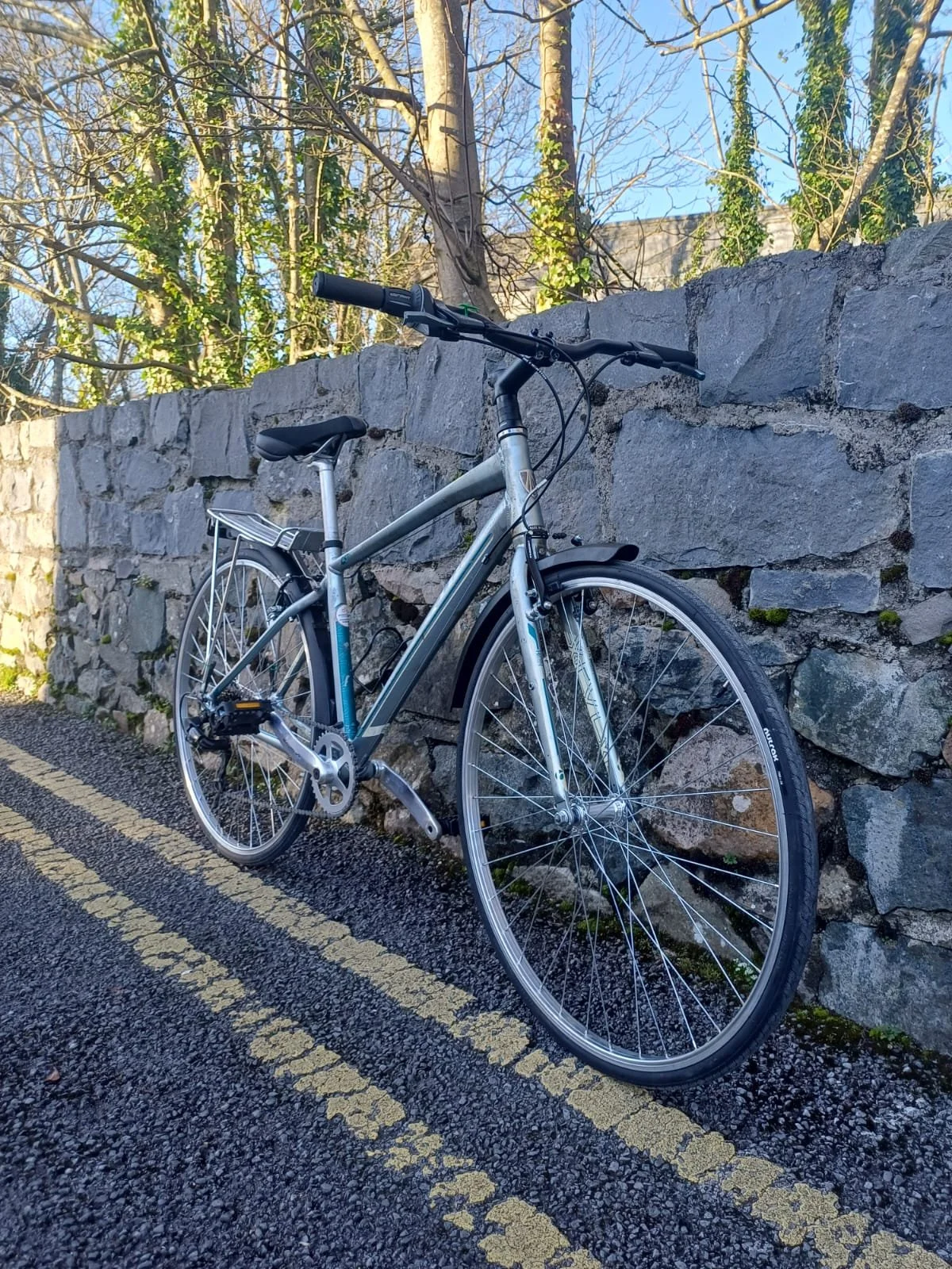 PHOTO-2026-03-10-13-19-37 3.jpg