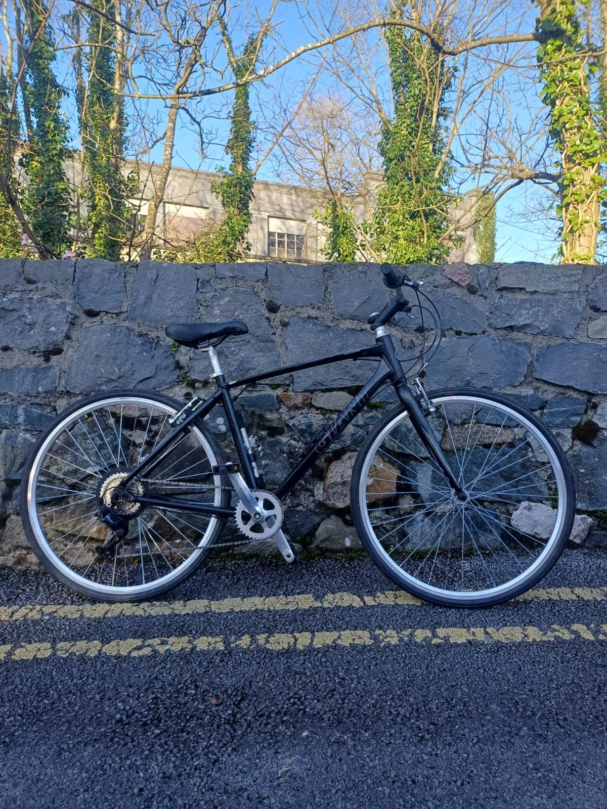 PHOTO-2026-03-10-13-19-35 2.jpg