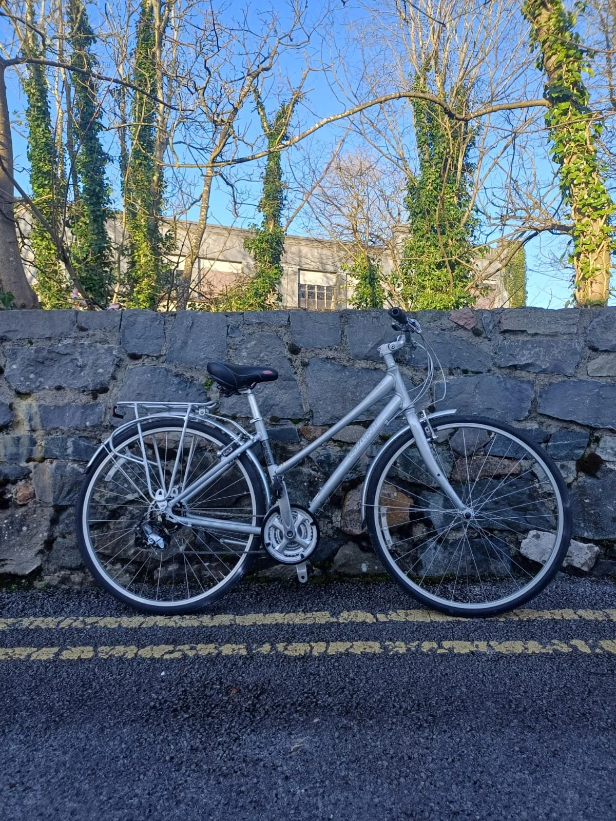 PHOTO-2026-03-10-13-19-38 4.jpg