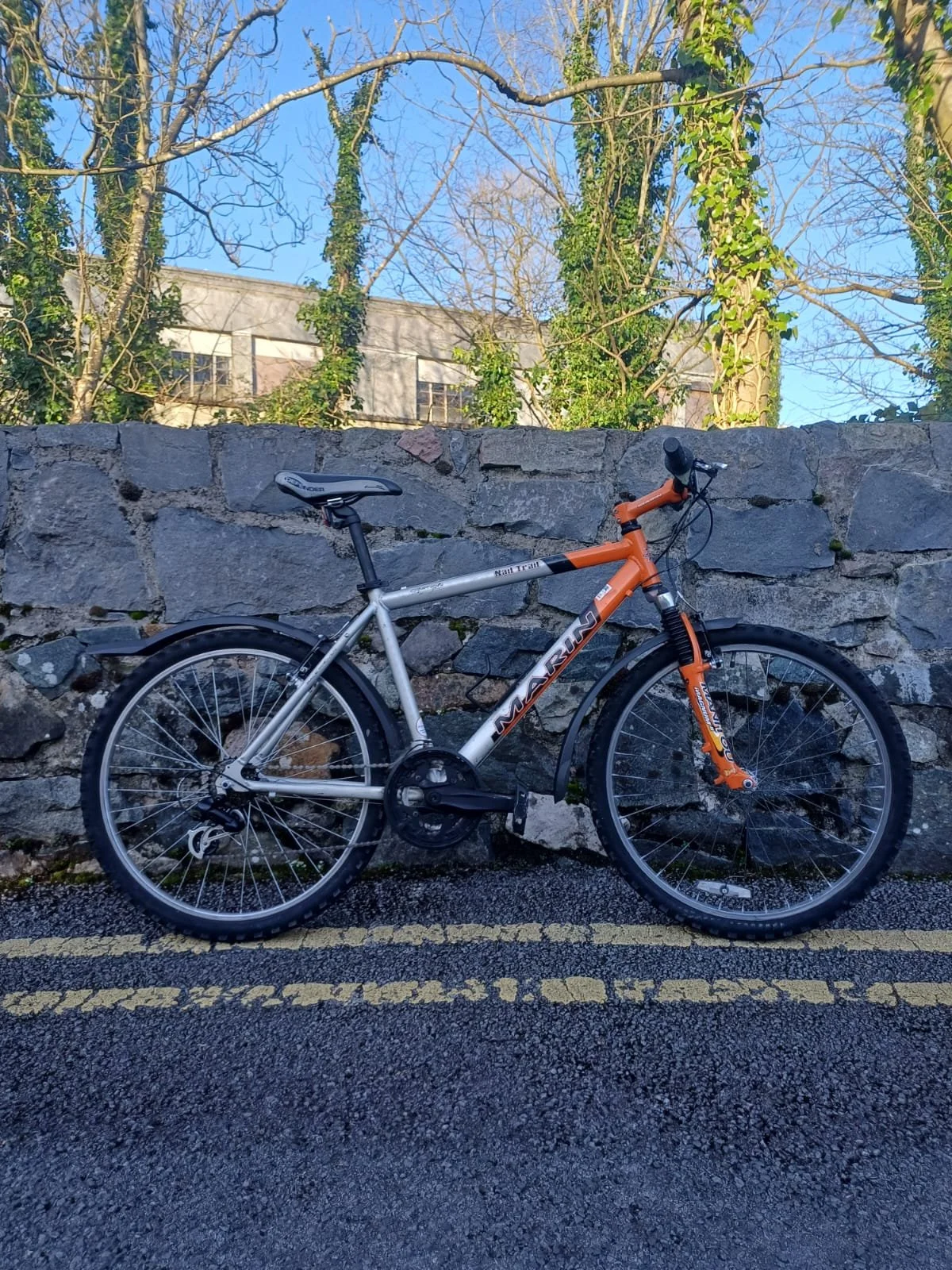 PHOTO-2026-03-10-13-19-33 2.jpg