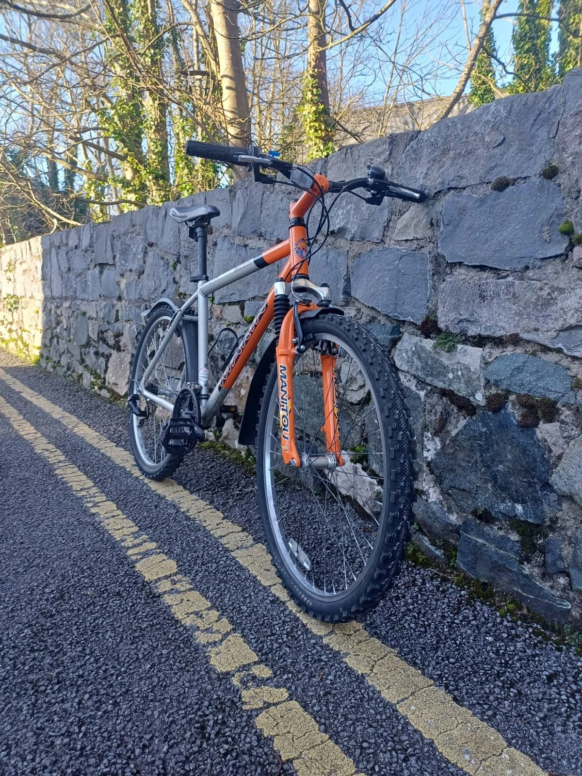 PHOTO-2026-03-10-13-19-34 2.jpg