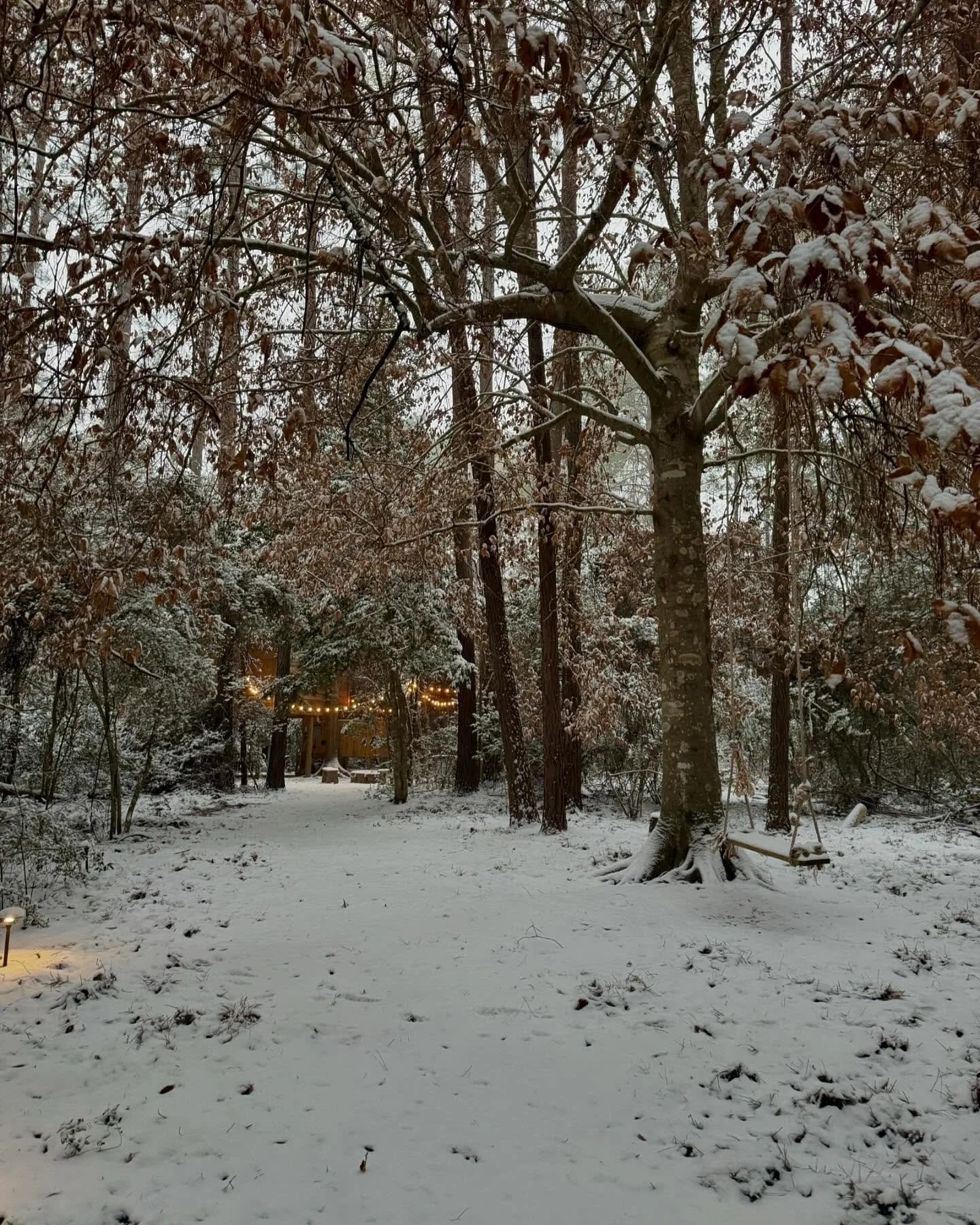 Enjoying the sights and snow thanks to the great winter storm of 2025 ❄️🤍

#pinecreekfarmtx #cabin #cabincrew #familyvacation #weekendgetaway #airbnb #texas #traveltexas #weekend #fyp #romantichomes #homedecor #homesweethome #treehouse #cabininthewo
