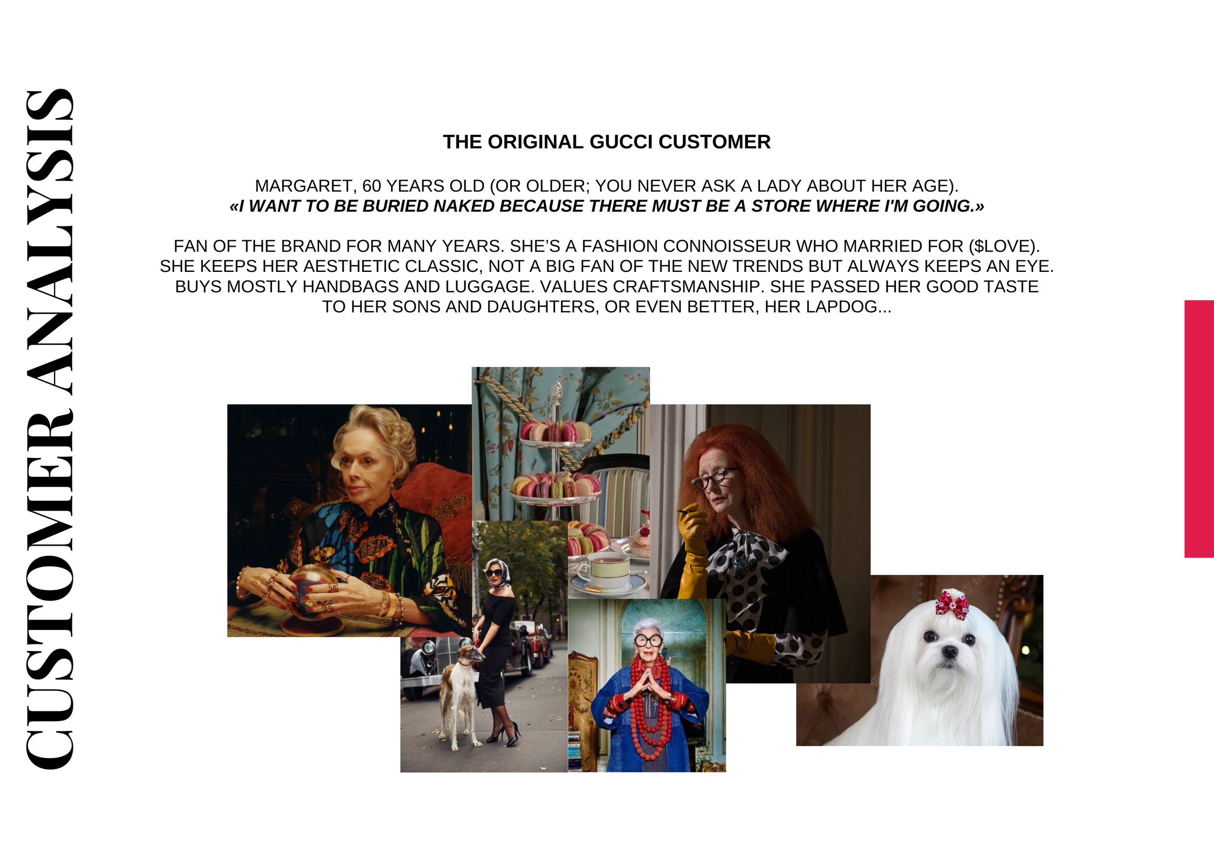 Collage featuring a stylish older woman in colorful outfits, a woman with red hair and glasses, a woman with dog, a white dog with a red bow, and a woman with her dog on the street, highlighting a theme of fashion and pets.
