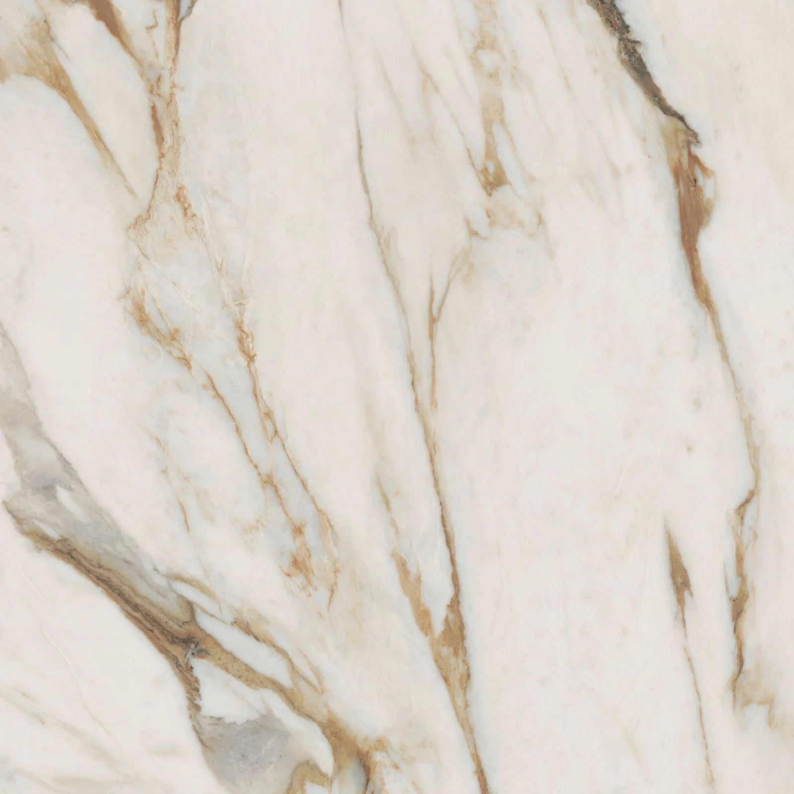 sensi signoria calacatta vena oro 120x120_02.jpg