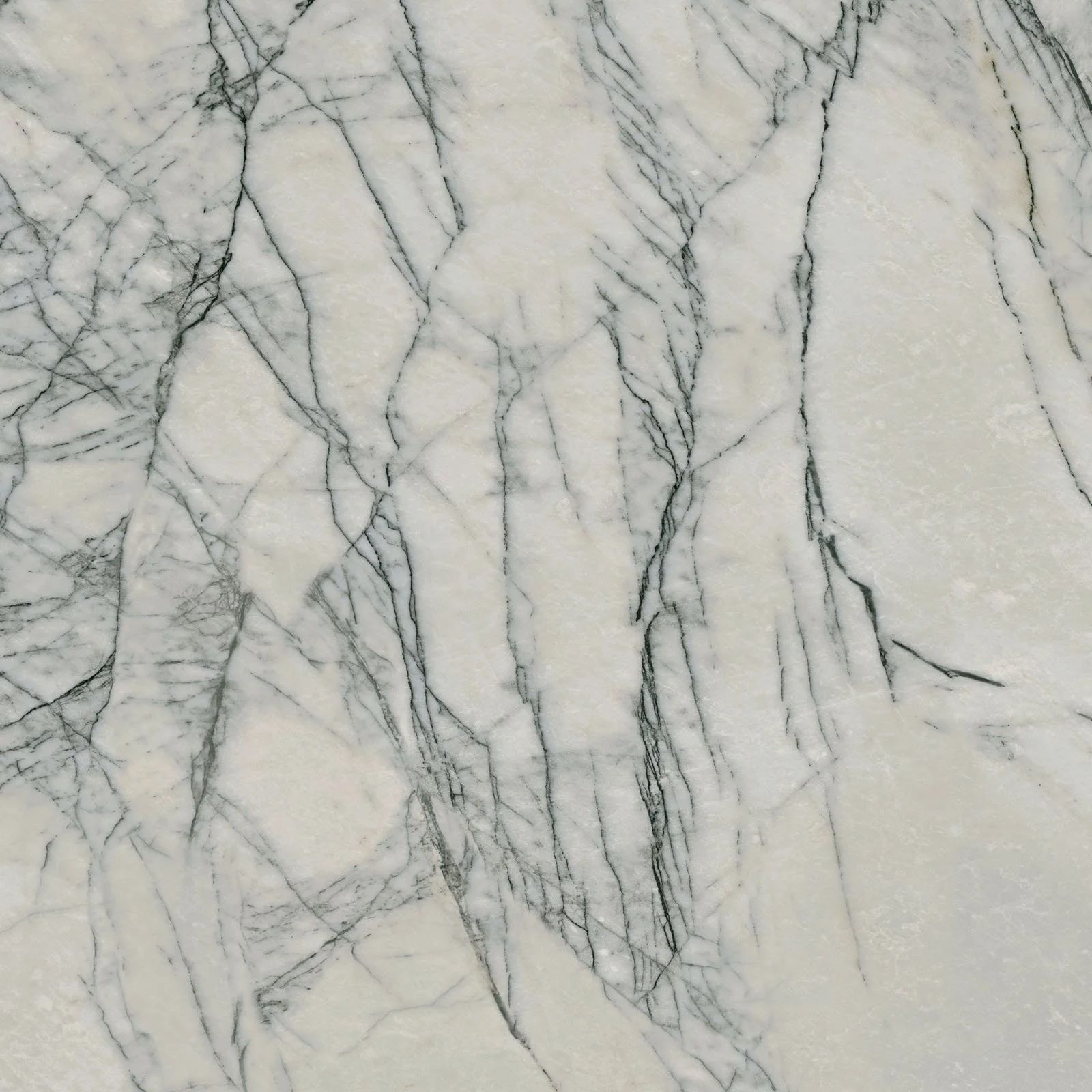 sensi signoria lilac grey 120x120_09.jpg