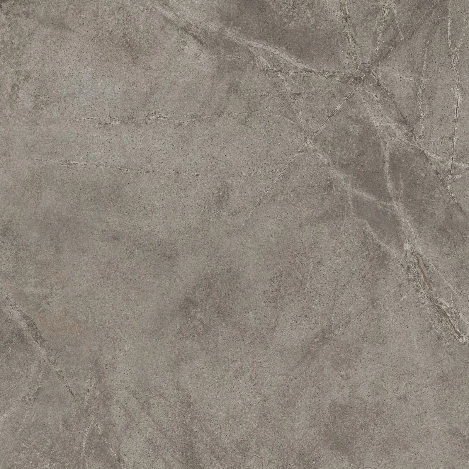 taupe 120x120_01.jpg