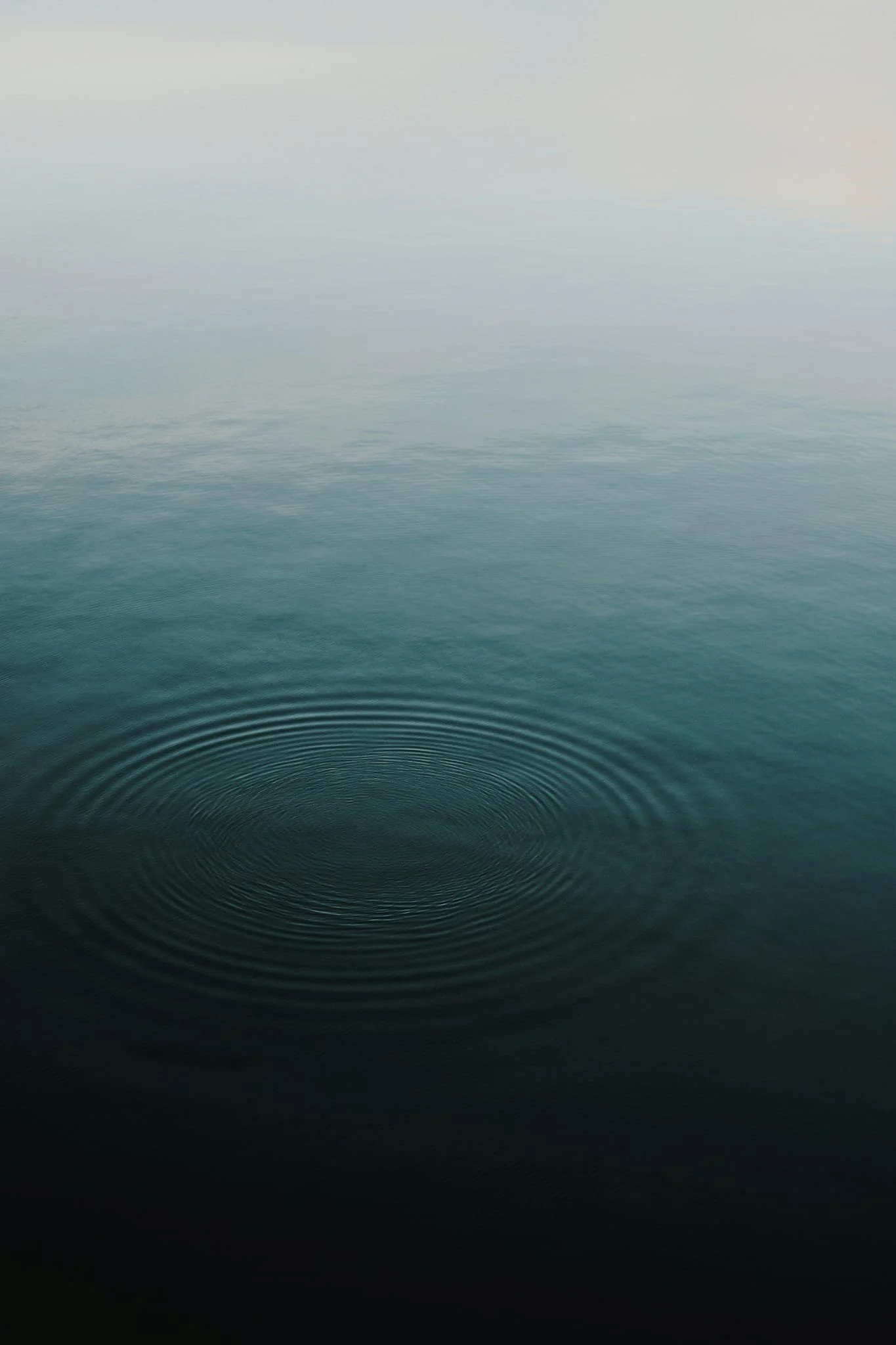 WhatsApp Image 2025-10-22 at 22.03.06 (1).jpeg